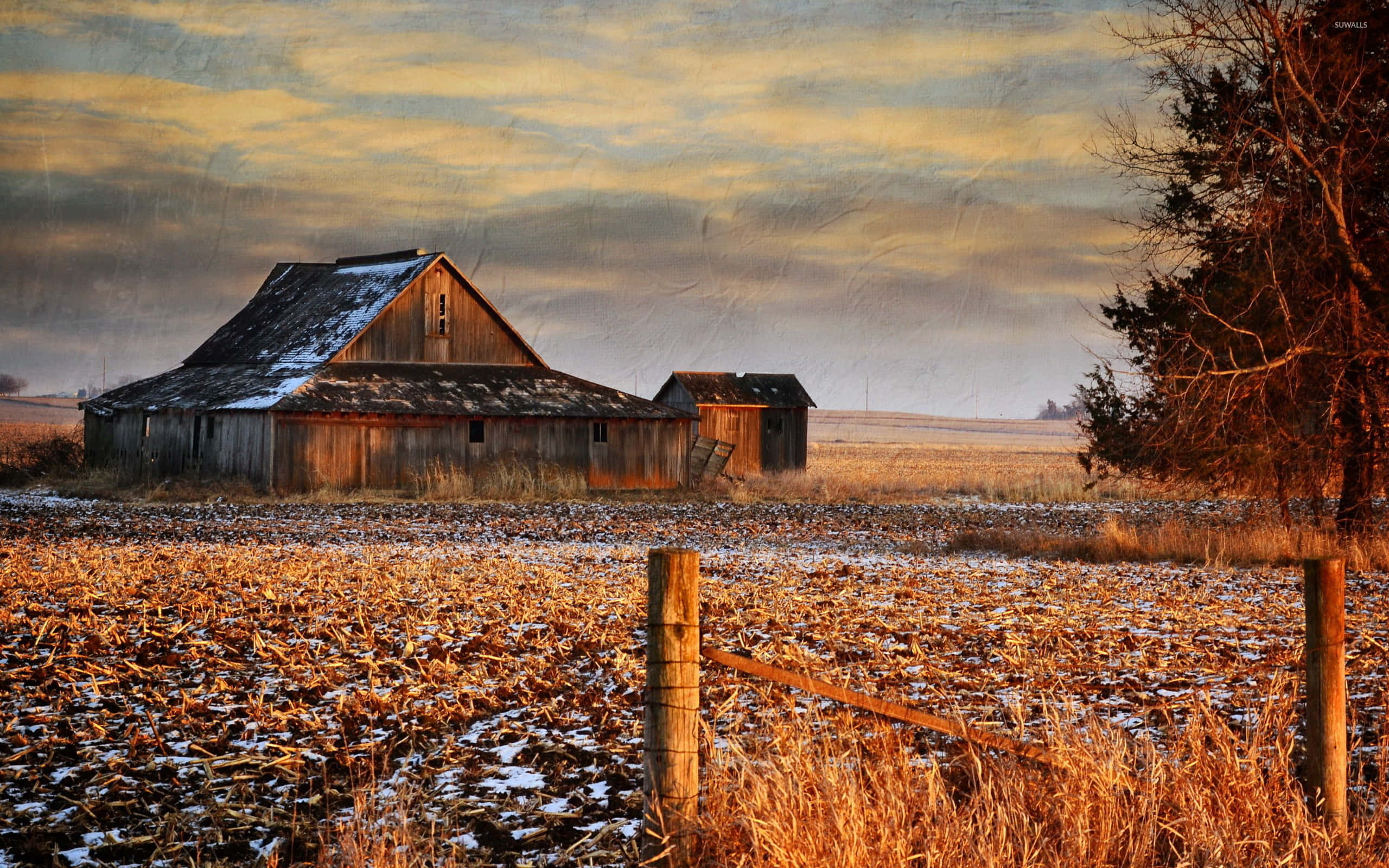 rustic abandoned rural old barn, frost-dusted field, golden sunset, 2K Desktop Wallpaper