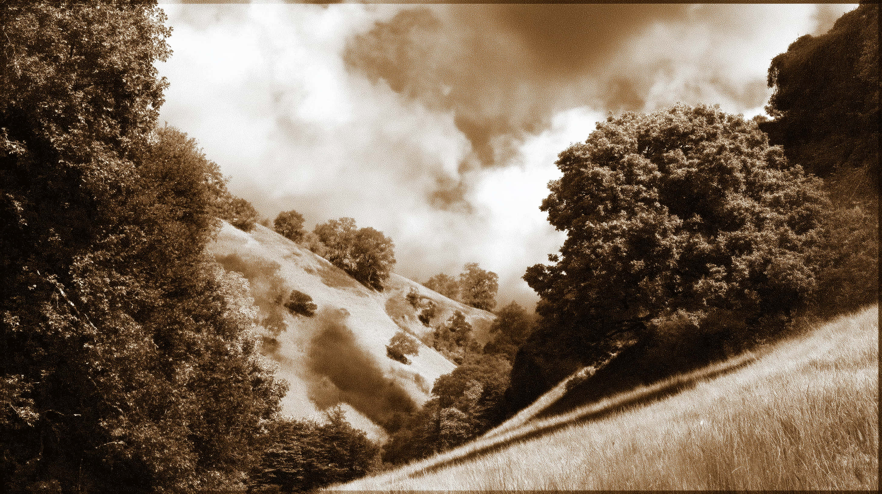 sepia, rolling hills, dense trees, 2K Desktop Wallpaper