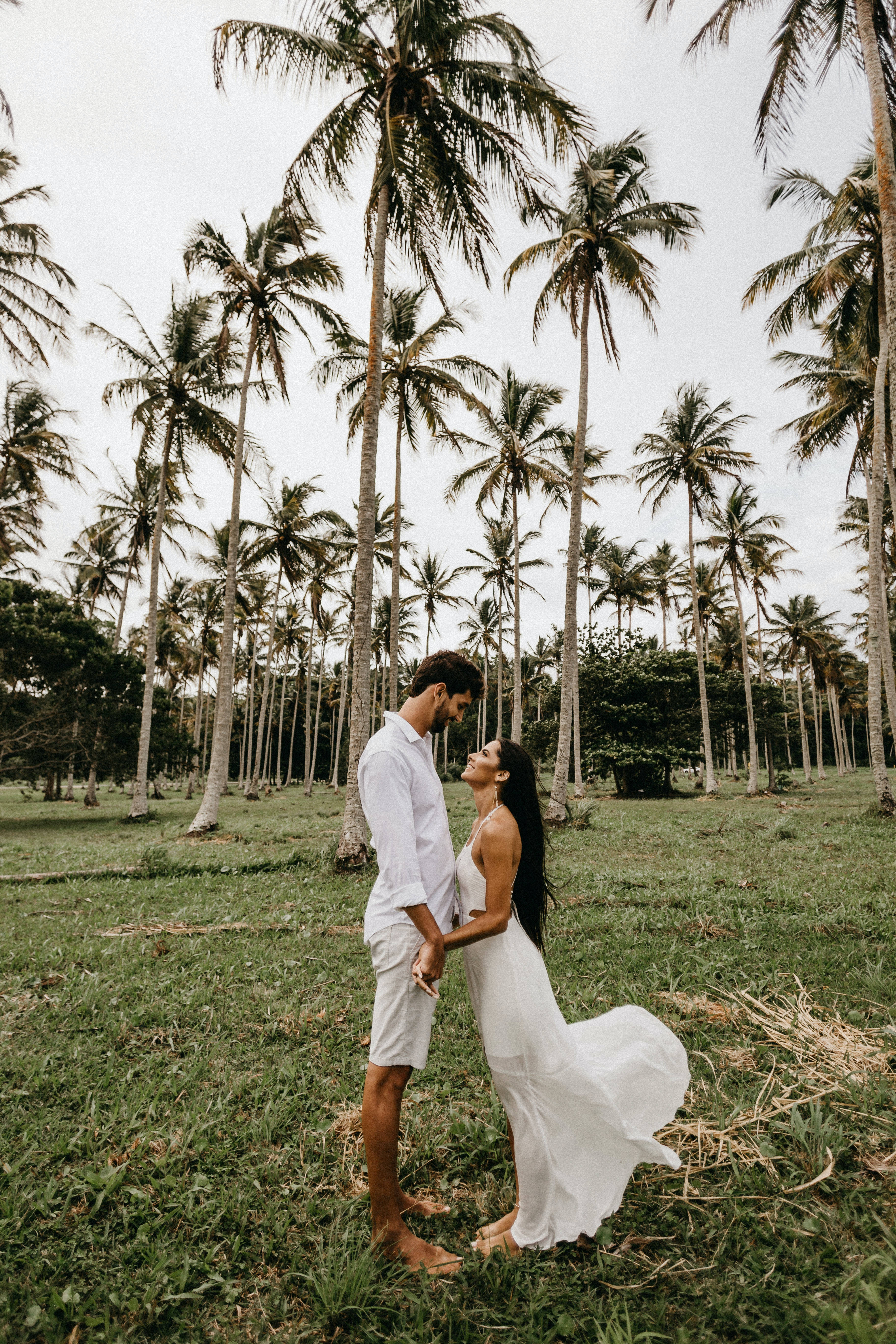 Lovers Coconut Trees, palm trees, lush green field, 5K Phone Wallpaper