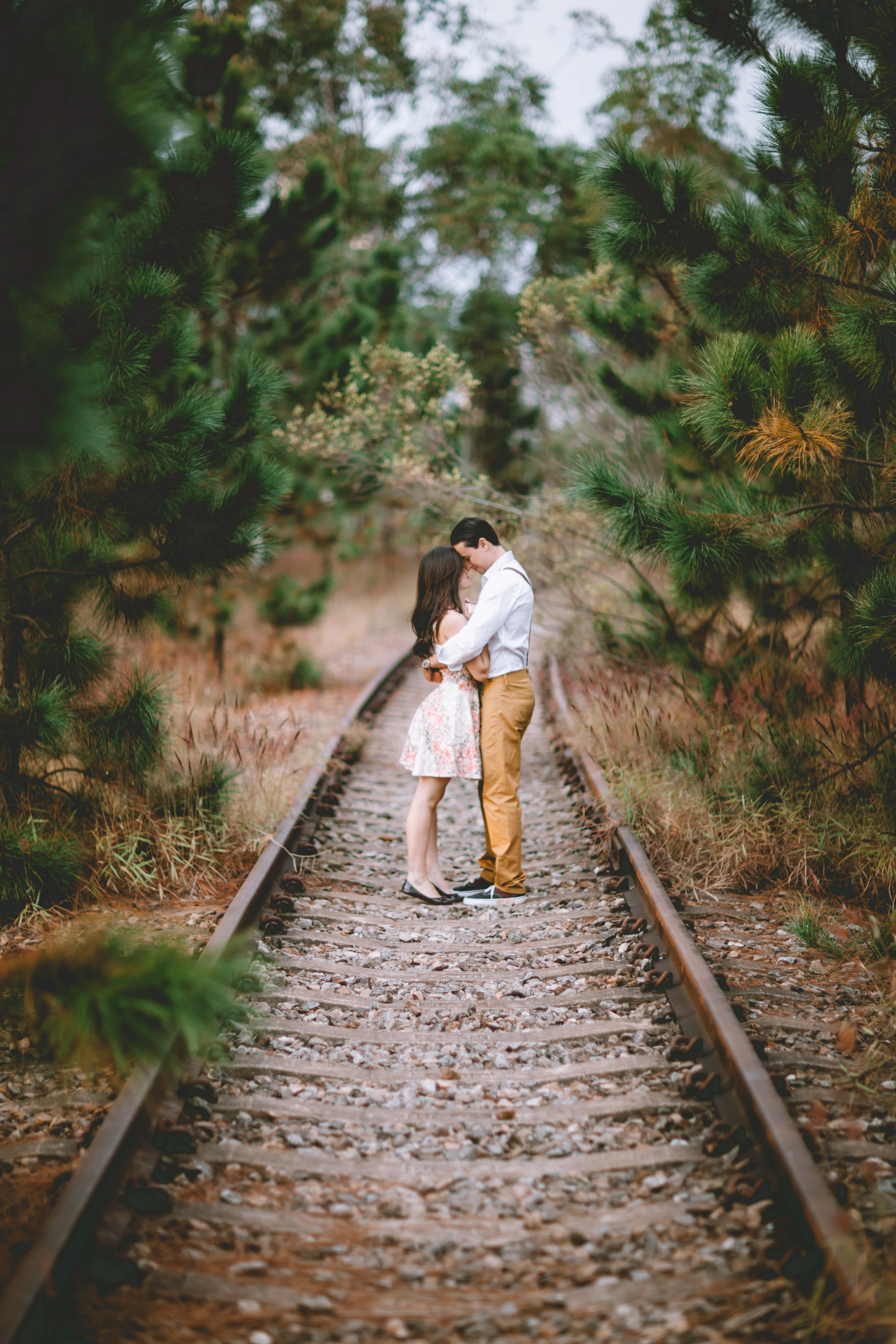 Couple Goals, railway track, pine trees, 5K Phone Wallpaper
