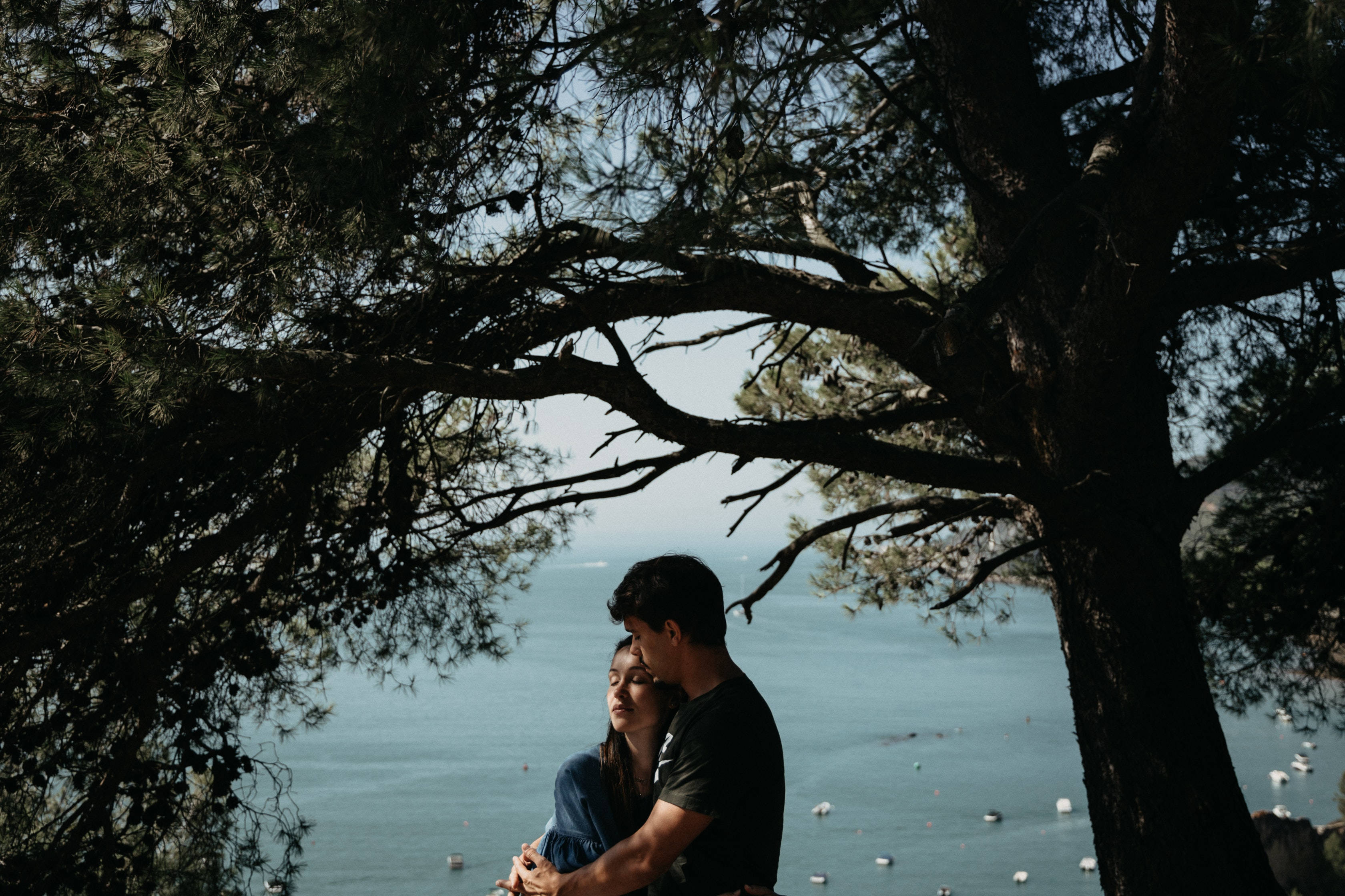 couple, pine tree, calm blue sea, 2K Desktop Wallpaper