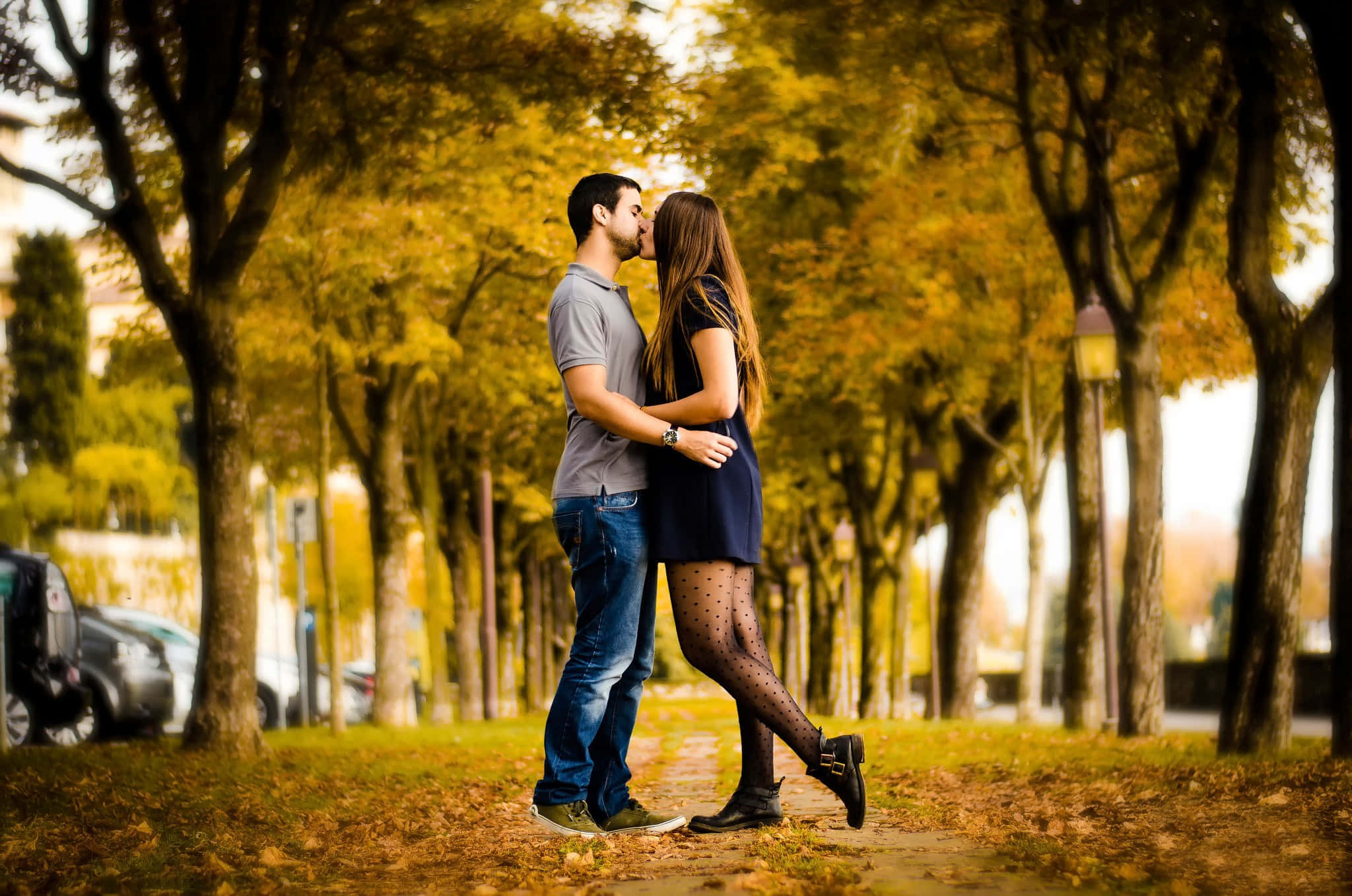 golden autumn trees, quiet park path, couple, Full HD Desktop Wallpaper