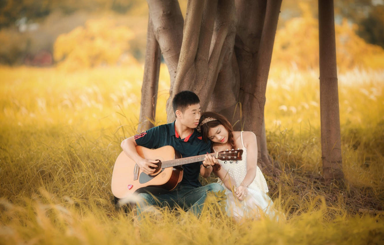 boyfriend and girlfriend guitar, golden grass, large tree, HD Desktop Wallpaper