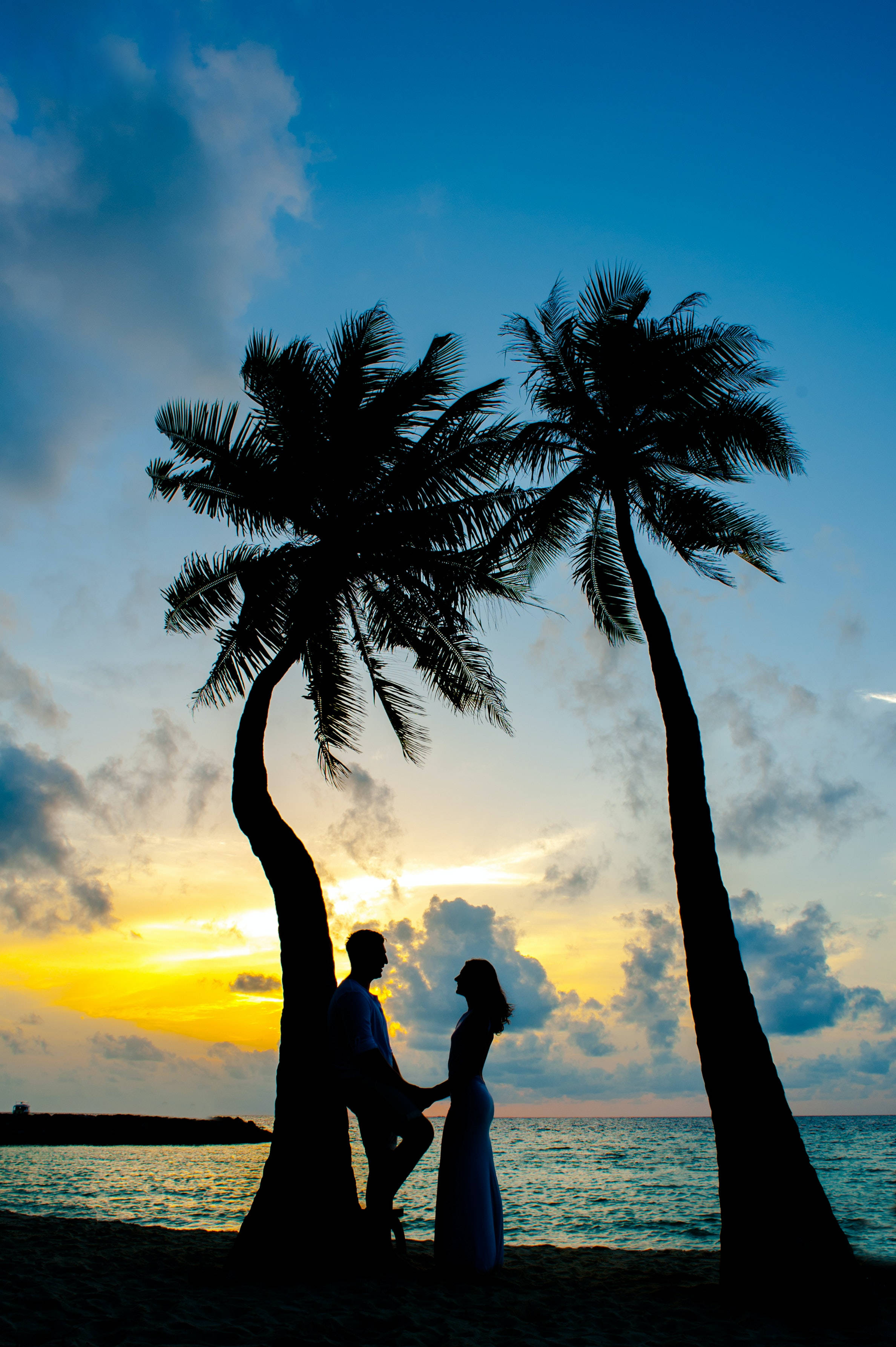 Couple In Love, coconut trees, palm trees, 2K Phone Wallpaper