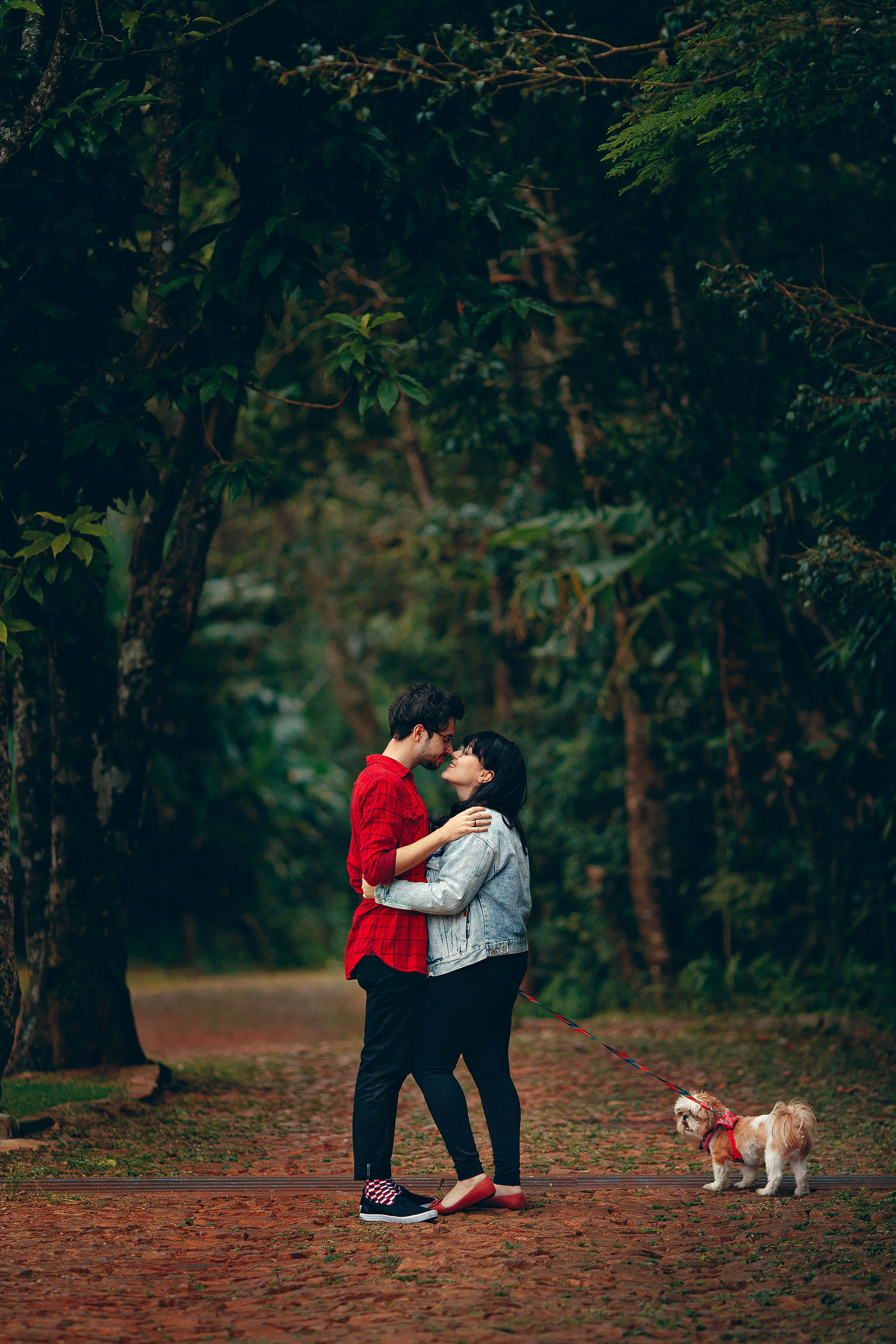 romantic sunset, forest path, couple, 4K Phone Wallpaper