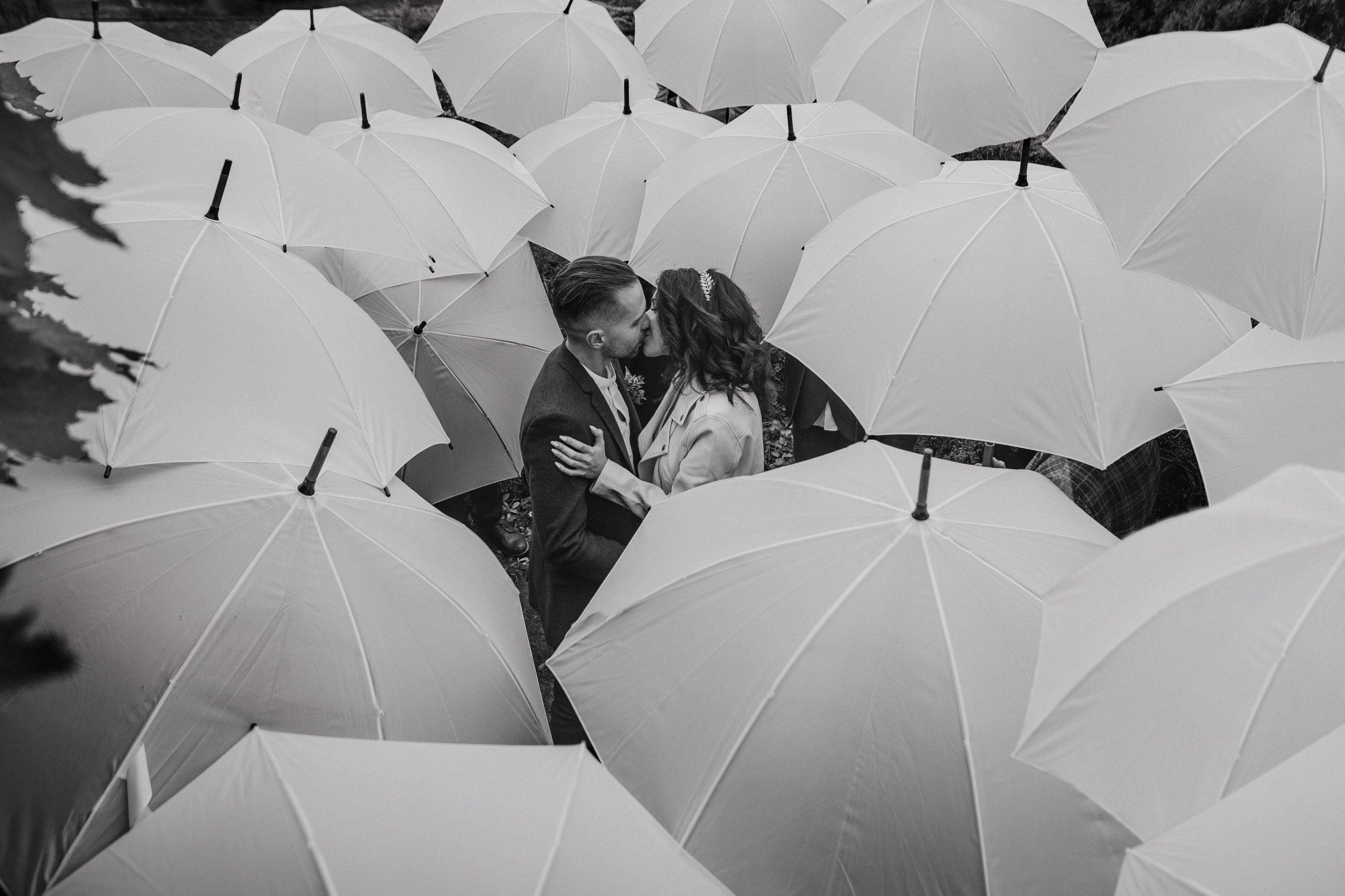 couple, umbrellas, white, 2K Desktop Wallpaper