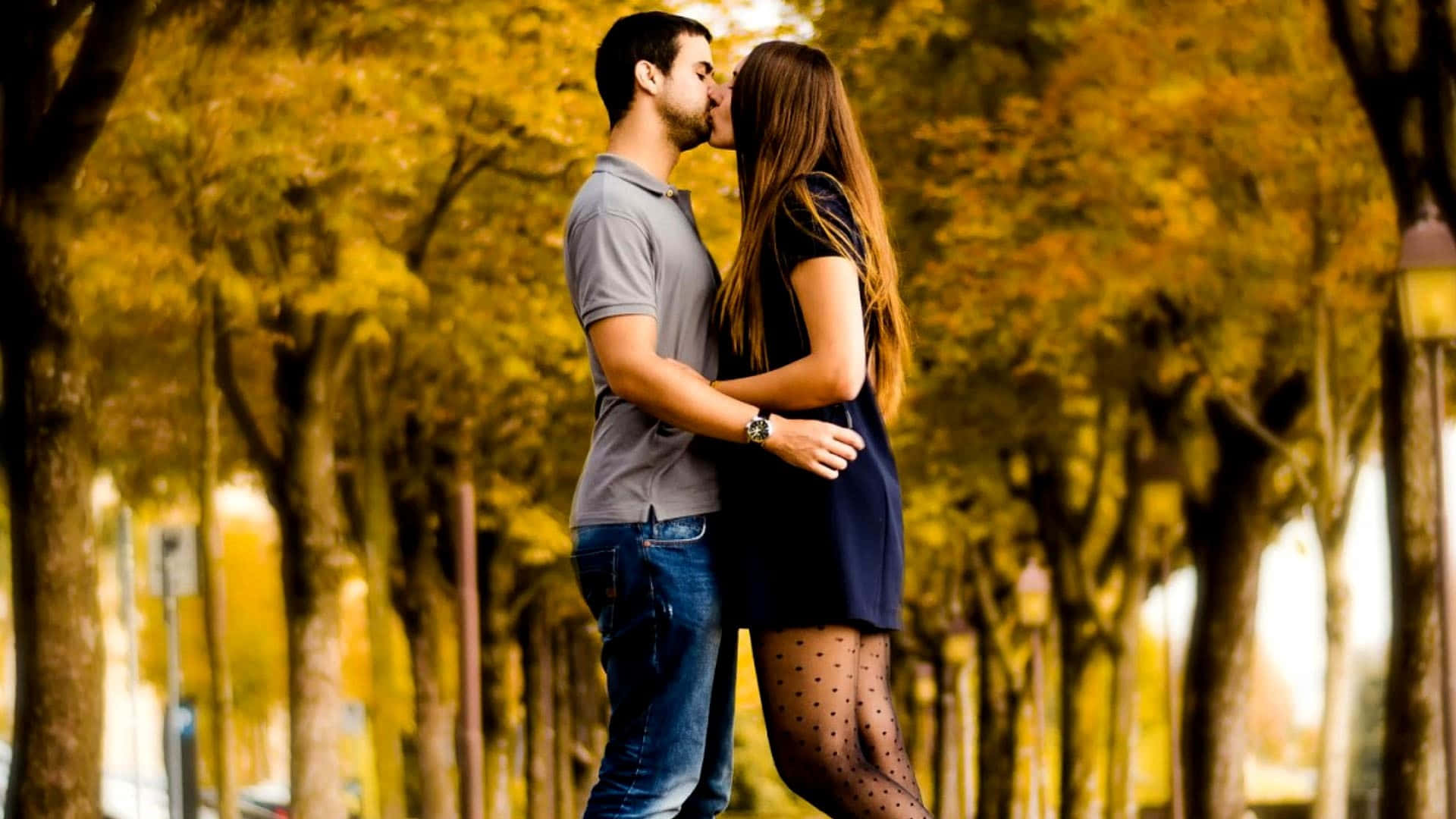 Free Love Kiss Tree, yellow, golden autumn trees, Full HD Desktop Wallpaper
