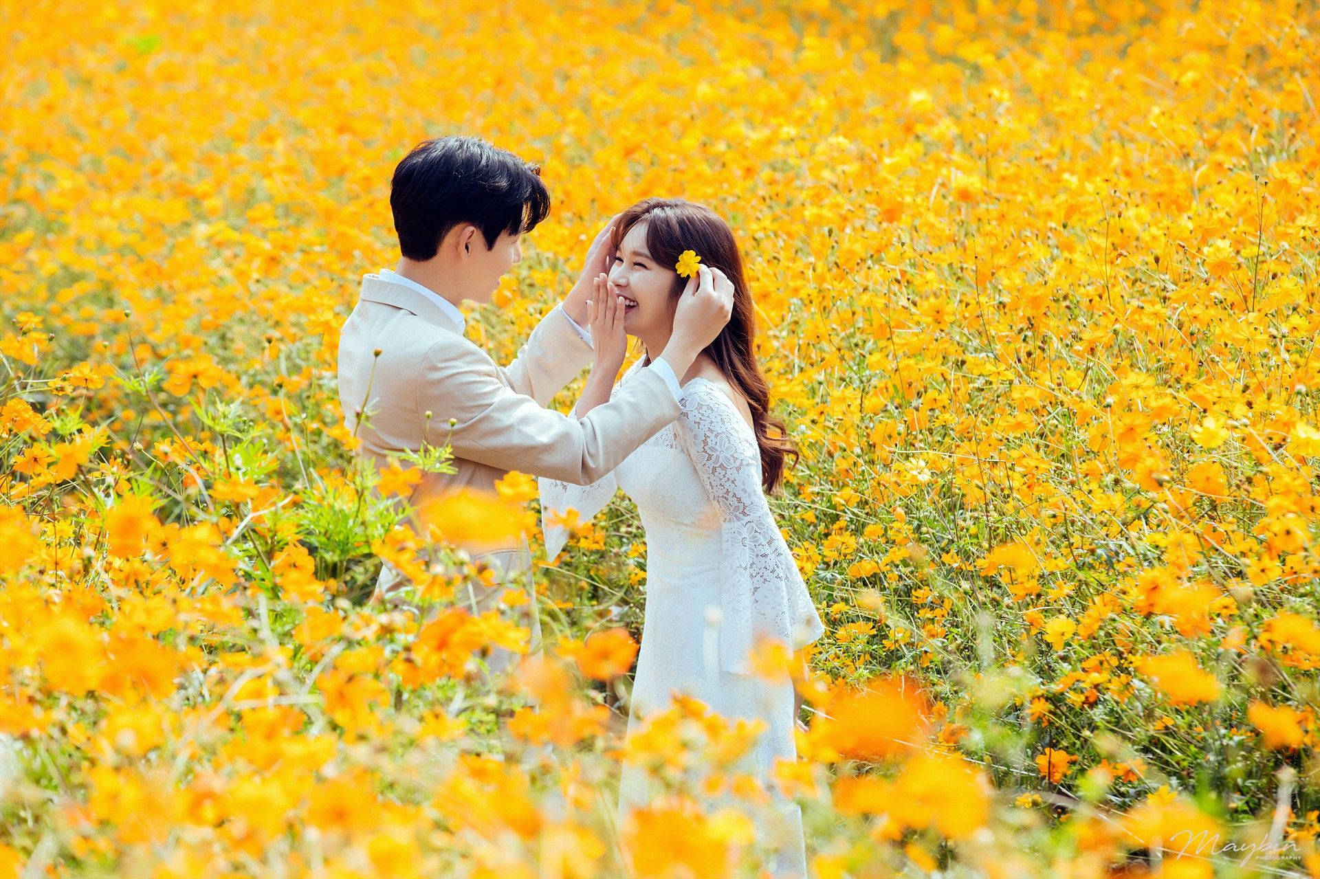 Korean couple, yellow flower field, golden flowers, Full HD Desktop Wallpaper