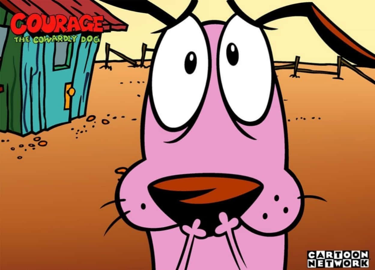 Courage the cowardly dog, pink cartoon dog, huge eyes, SD Desktop Wallpaper