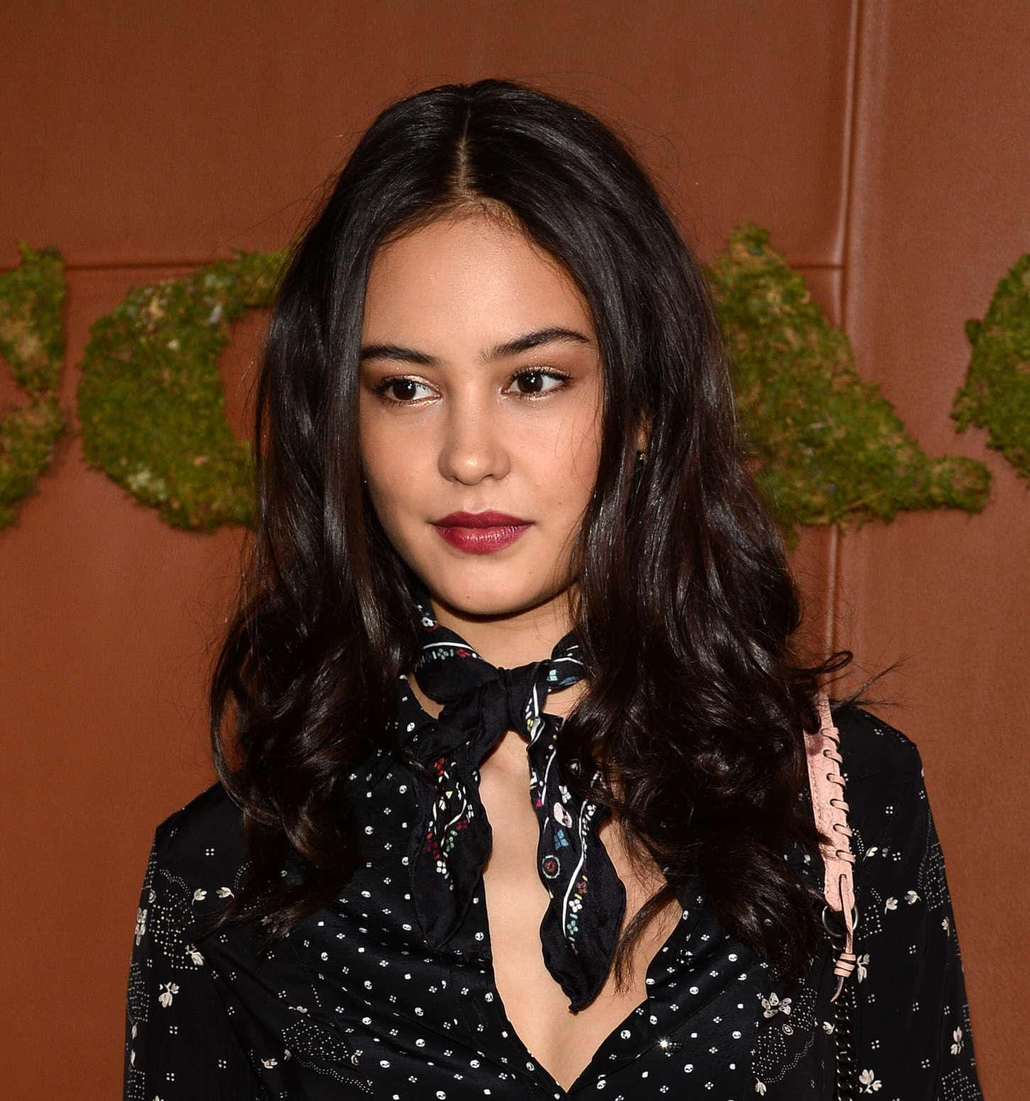 Courtney Eaton, black patterned blouse, bow at her neck, HD Phone Wallpaper