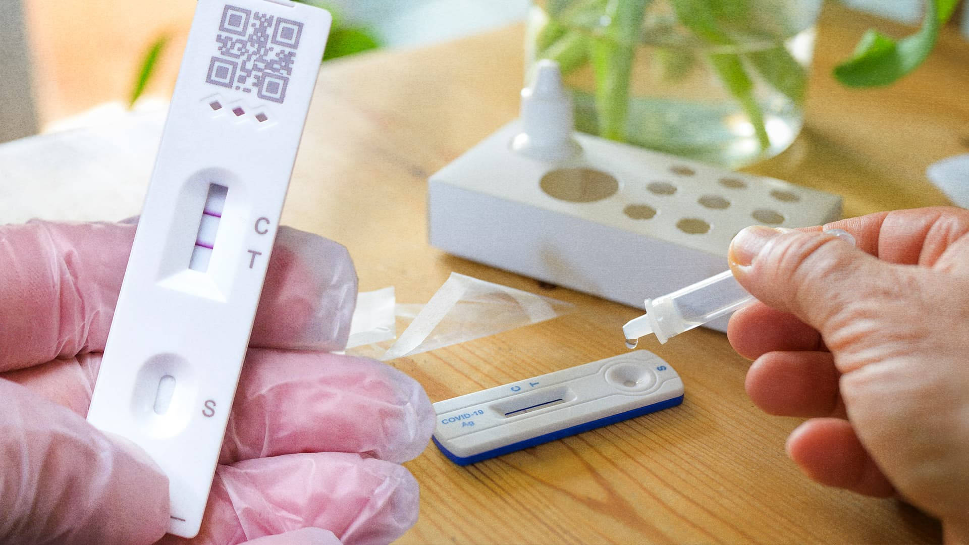 COVID Test Kit, positive COVID-19 test strip, gloved hand, Full HD Desktop Wallpaper