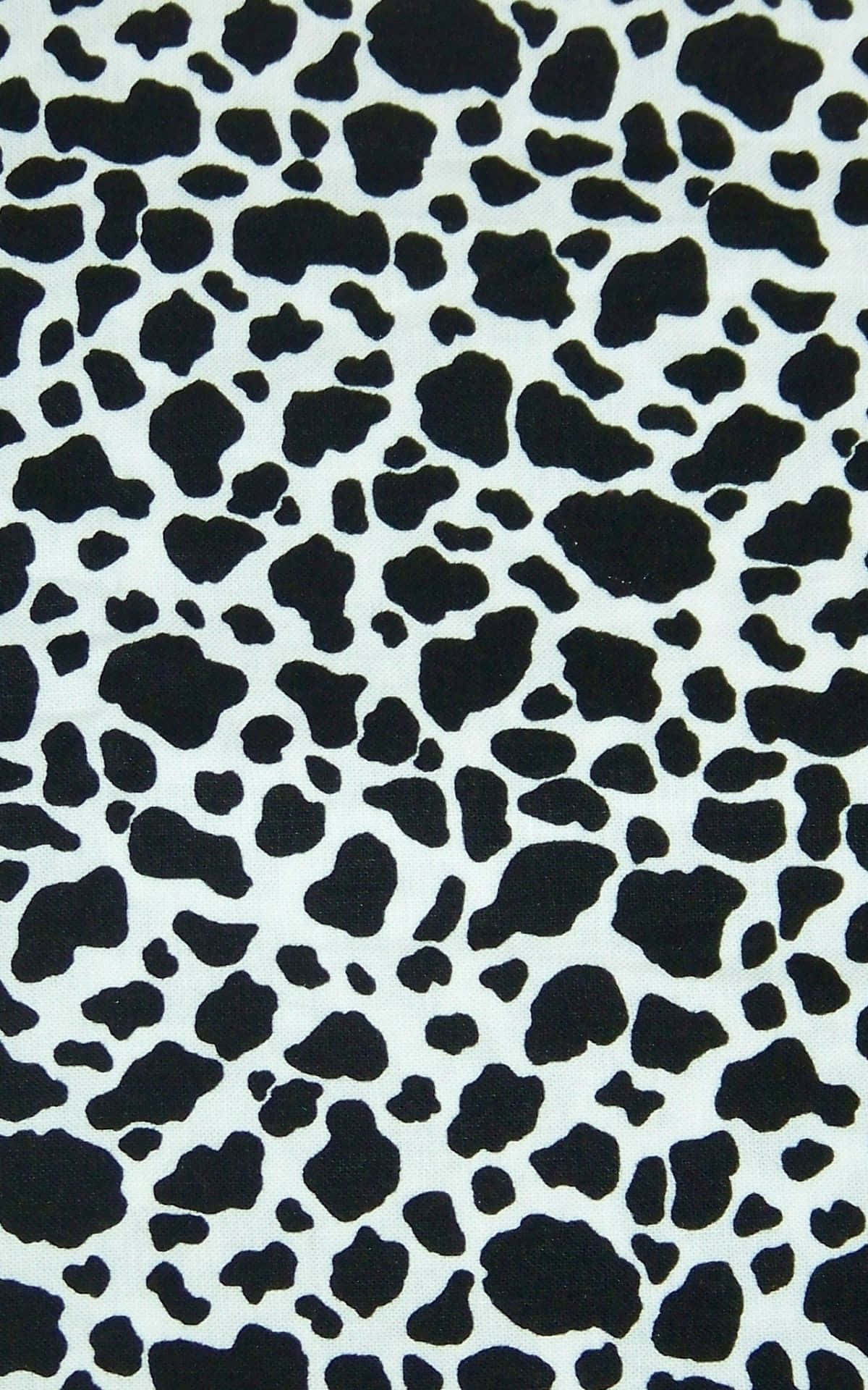 cow print fabric, black and white, irregular spotted pattern, Full HD Phone Wallpaper