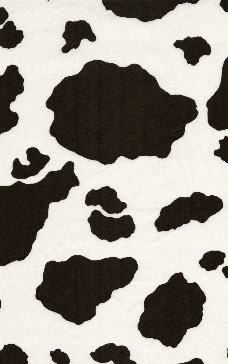 black and white cow pattern, cow print fabric, irregular spotted patterns, HD Phone Wallpaper