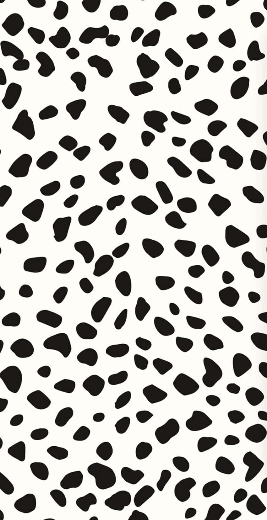 black and white cow print pattern, irregular spots, clean white background, HD Phone Wallpaper