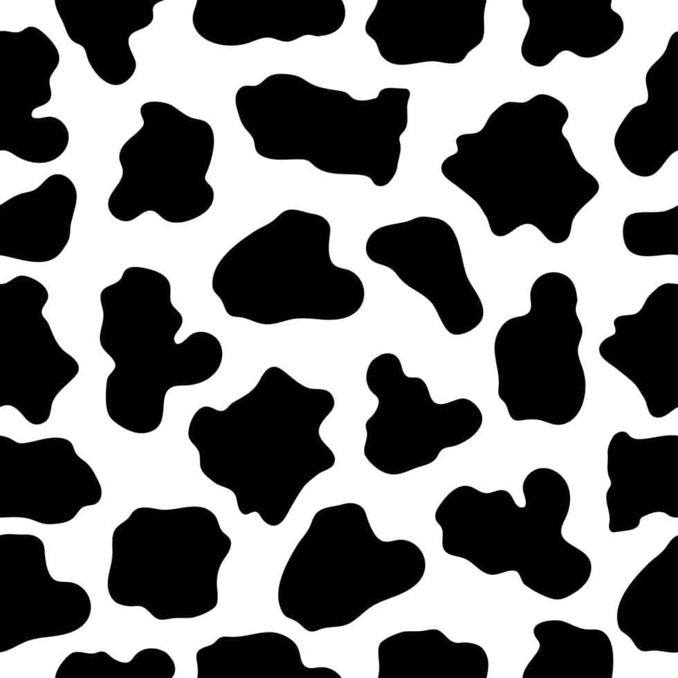black and white cow print pattern, irregular spotted shapes, clean background, SD Desktop Wallpaper