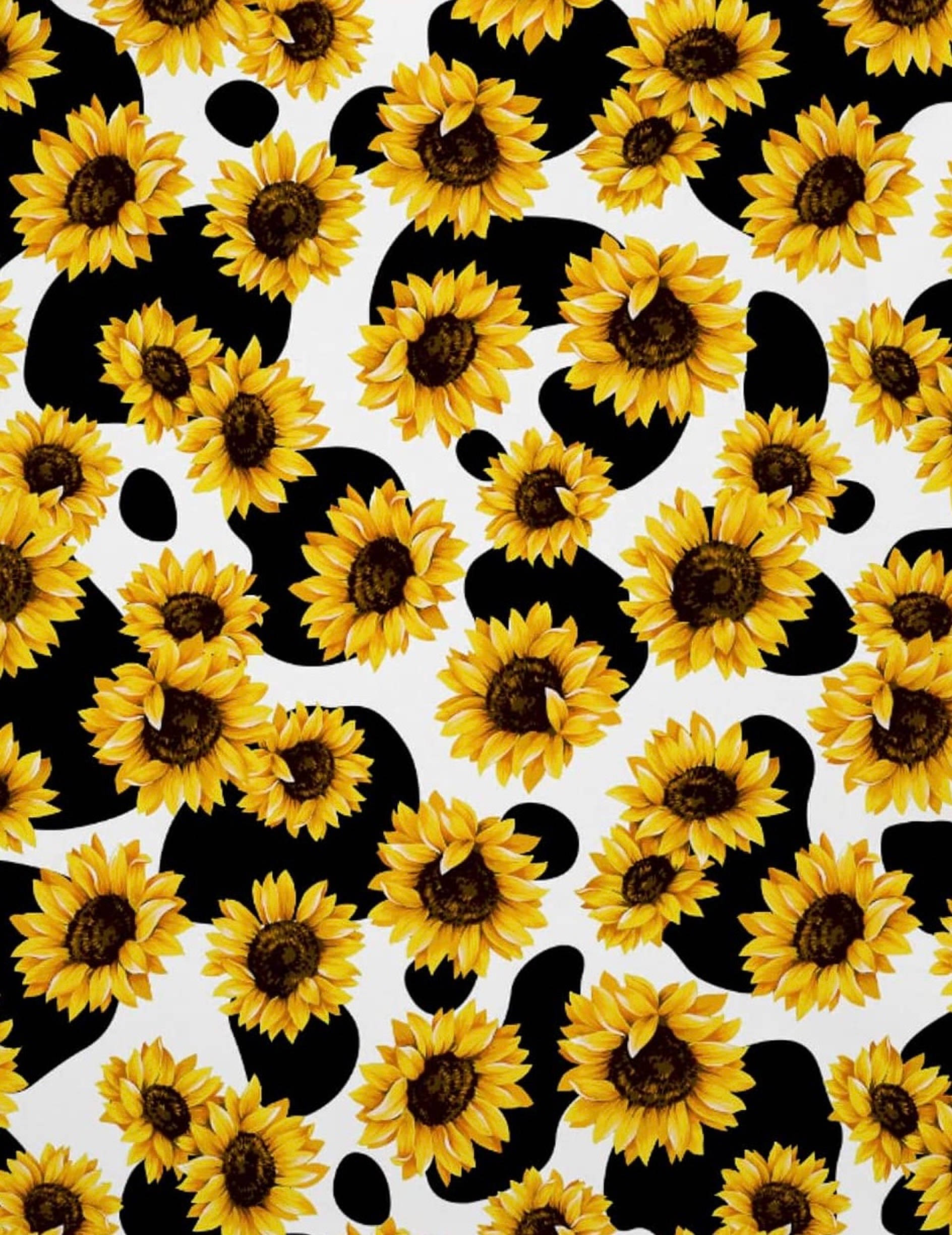 Sunflower, black and white cow print, repeating pattern, Full HD Phone Wallpaper