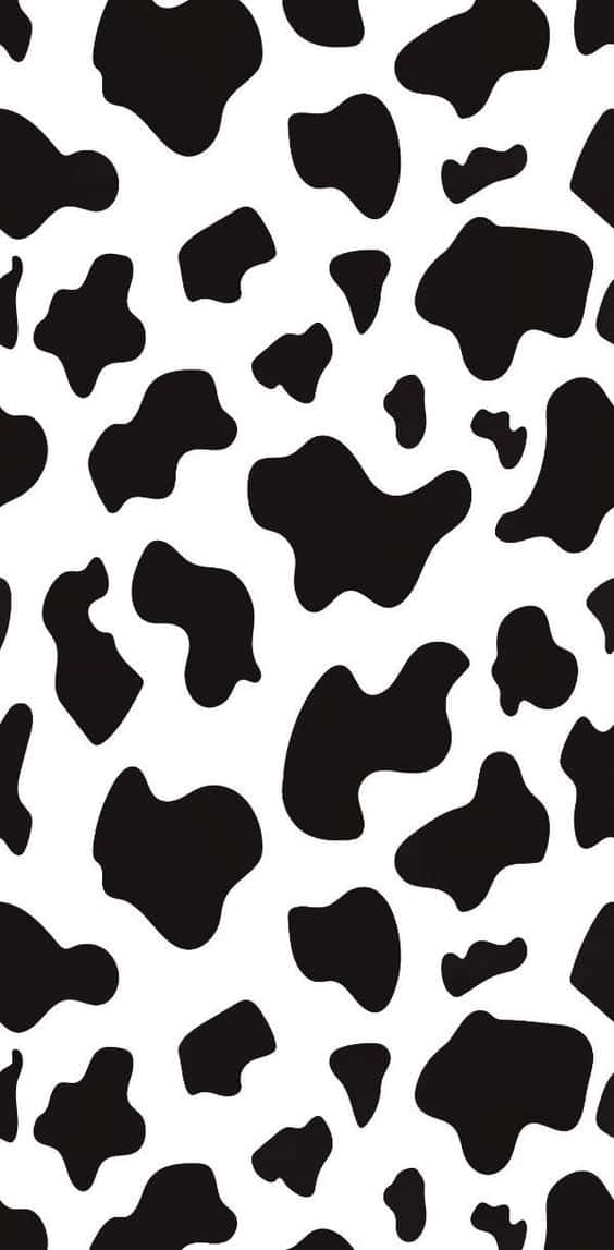 cow print, black and white, organic irregular spots, SD Phone Wallpaper