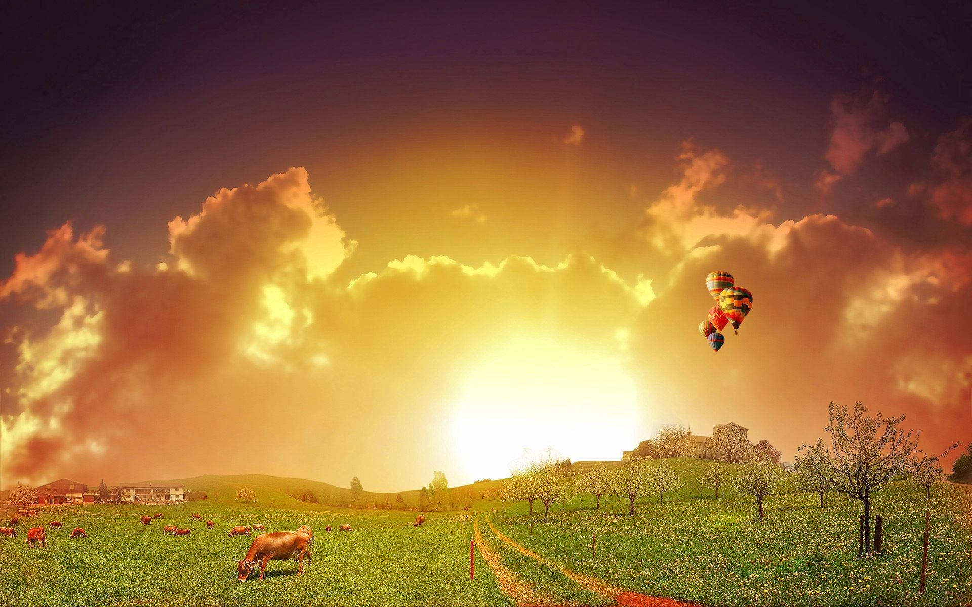 surreal sunny meadow, cow, vibrant sunset, Full HD Desktop Wallpaper