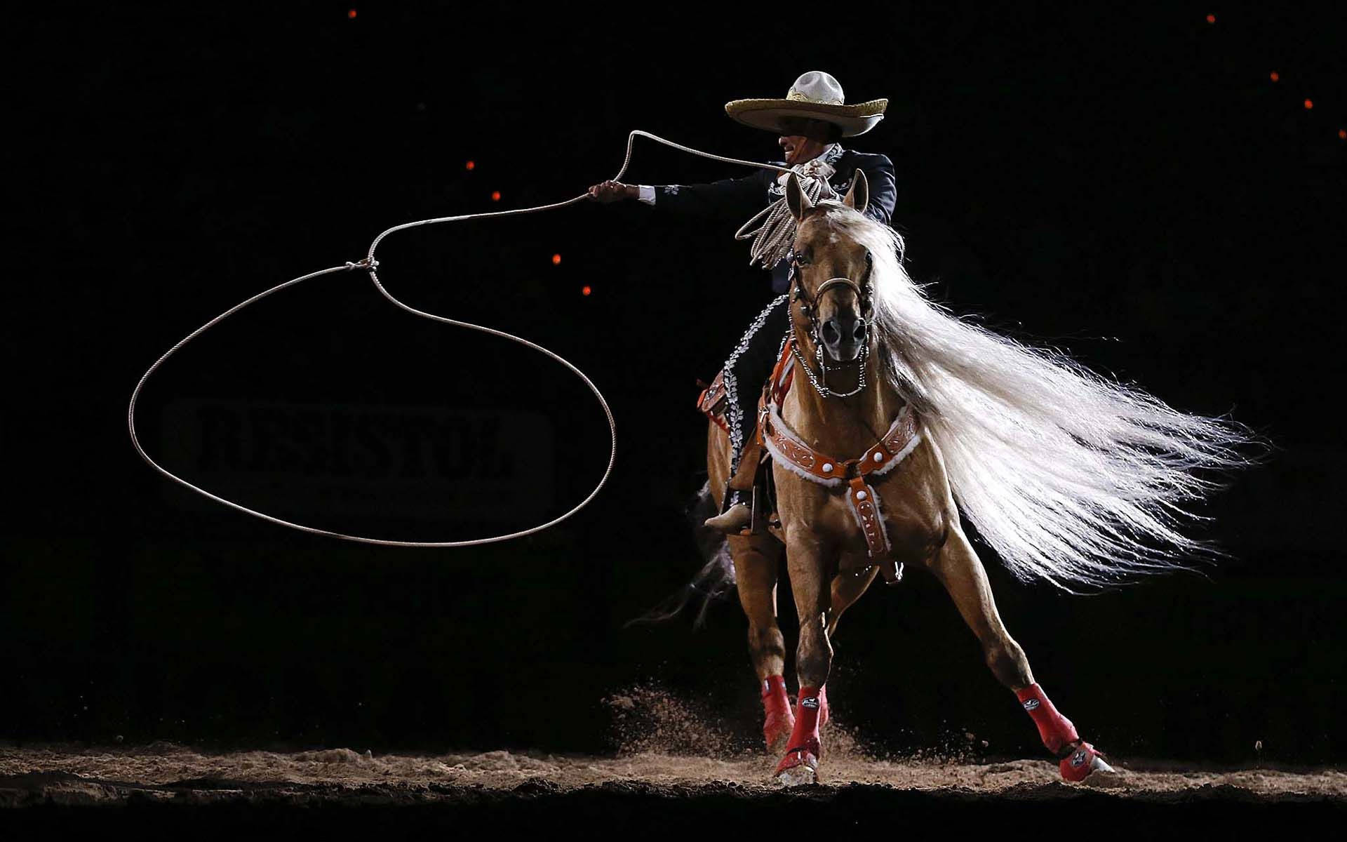 cowboy, wide-brimmed hat, galloping horse, Full HD Desktop Wallpaper