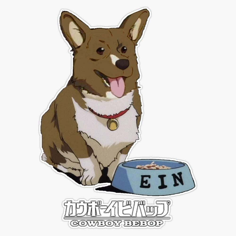 Cowboy Bebop, Ein, corgi, SD Desktop Wallpaper