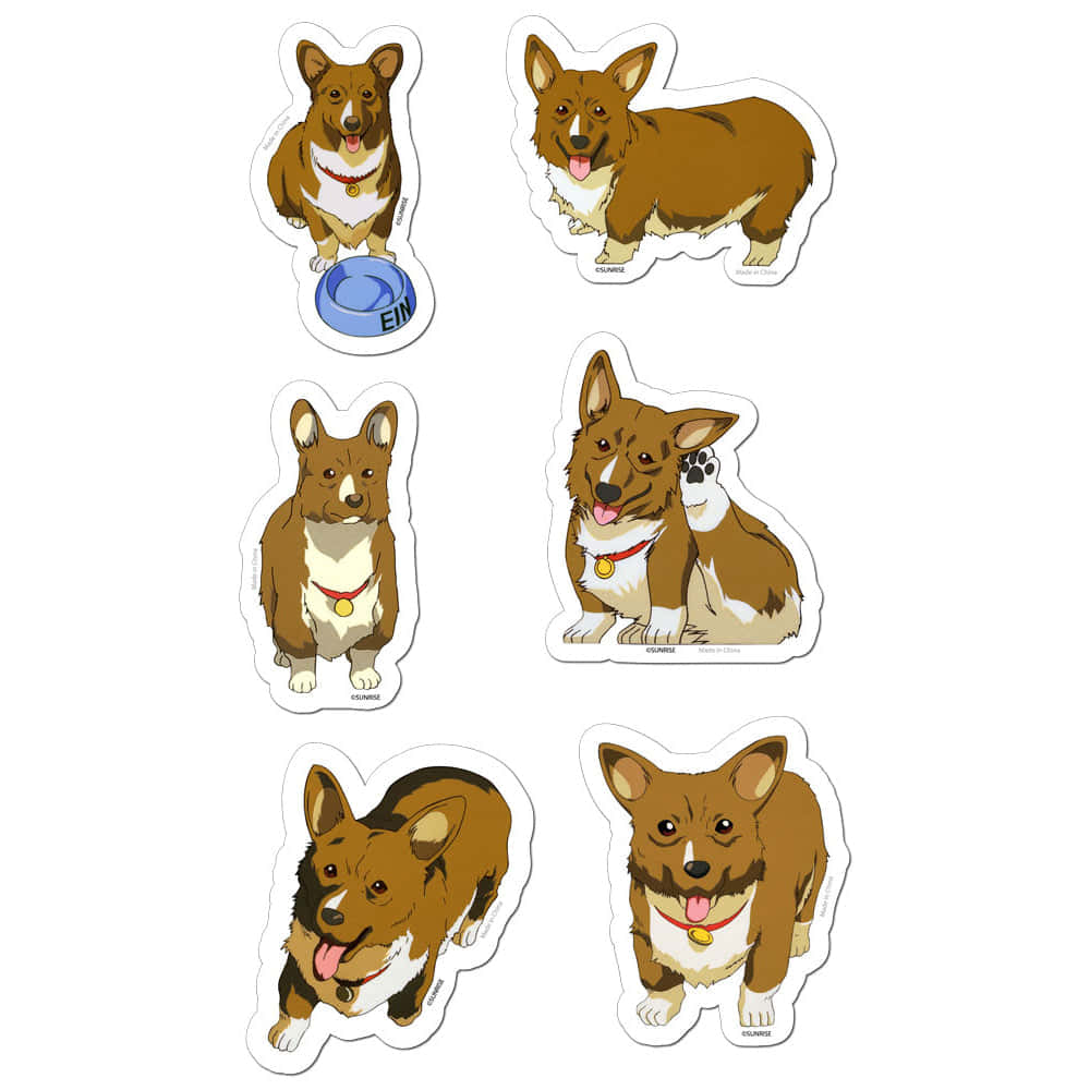 Cowboy Bebop, Ein, corgi, SD Desktop Wallpaper