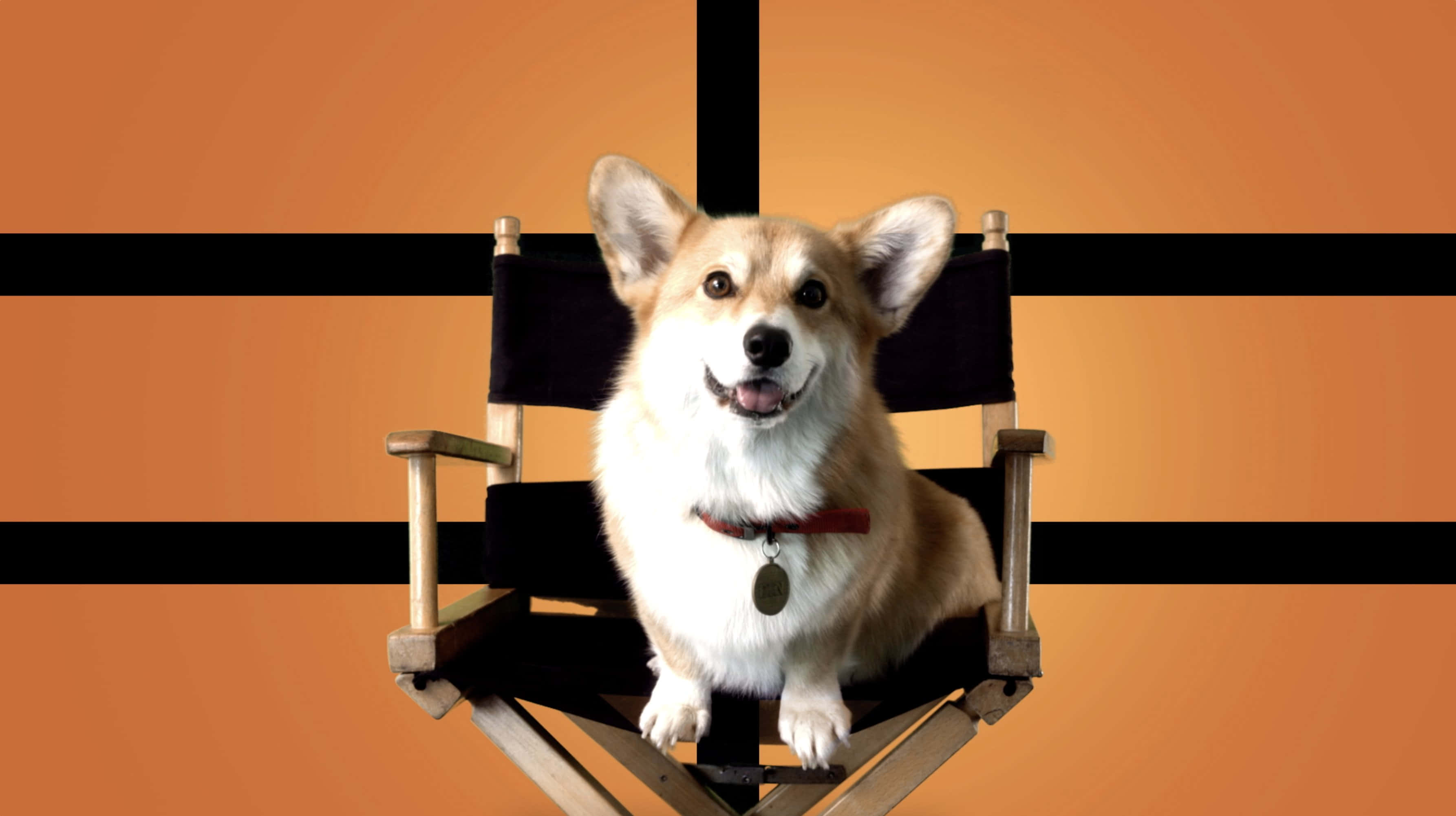 Cowboy Bebop, Ein, corgi, 2K Desktop Wallpaper