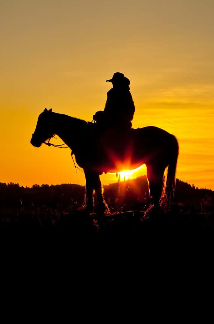 cowboy, horseback, fiery sunset, SD Phone Wallpaper