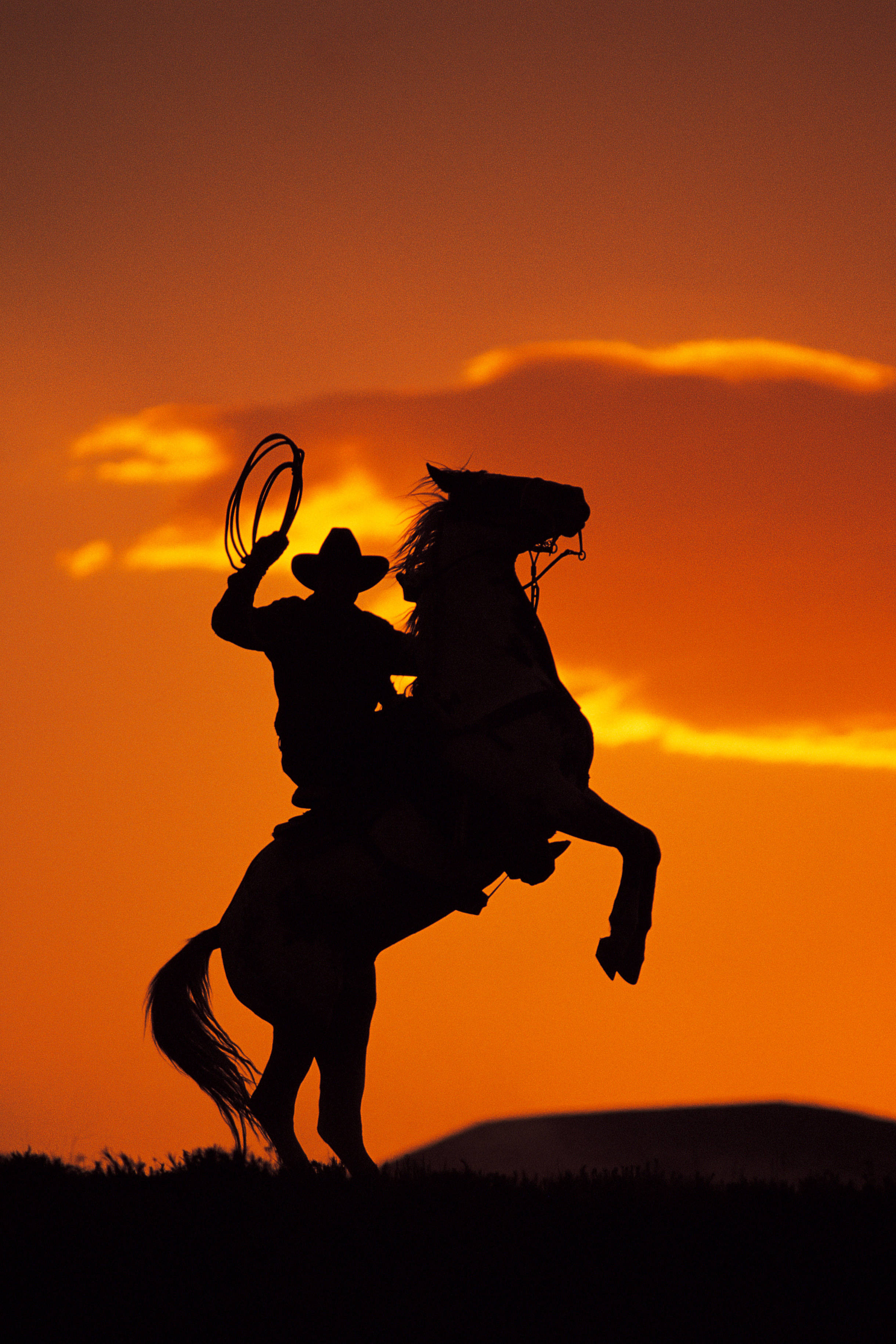 cowboy, horse, fiery orange sunset, 2K Phone Wallpaper