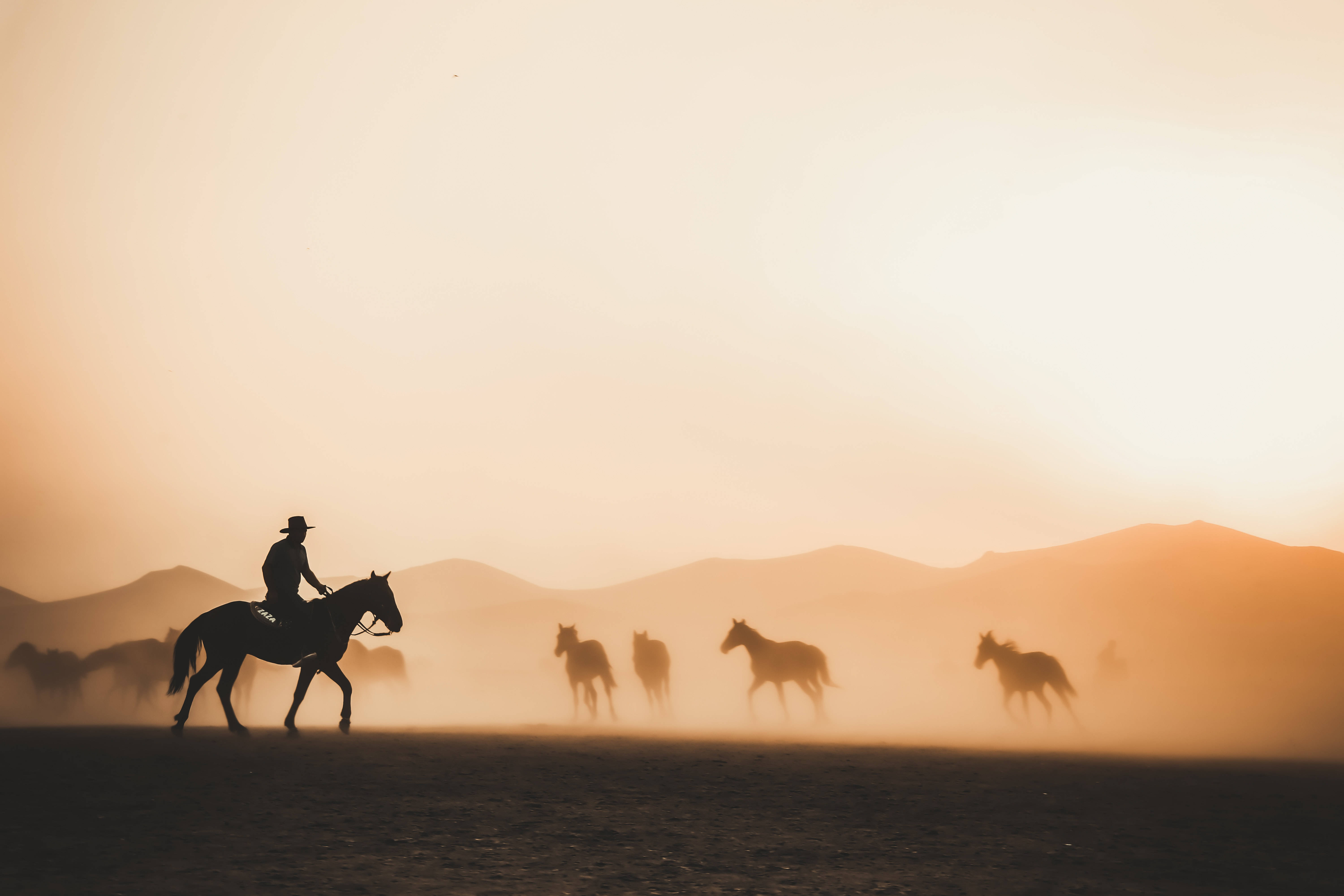 4K Tablet, cowboy, horseback, 5K Desktop Wallpaper