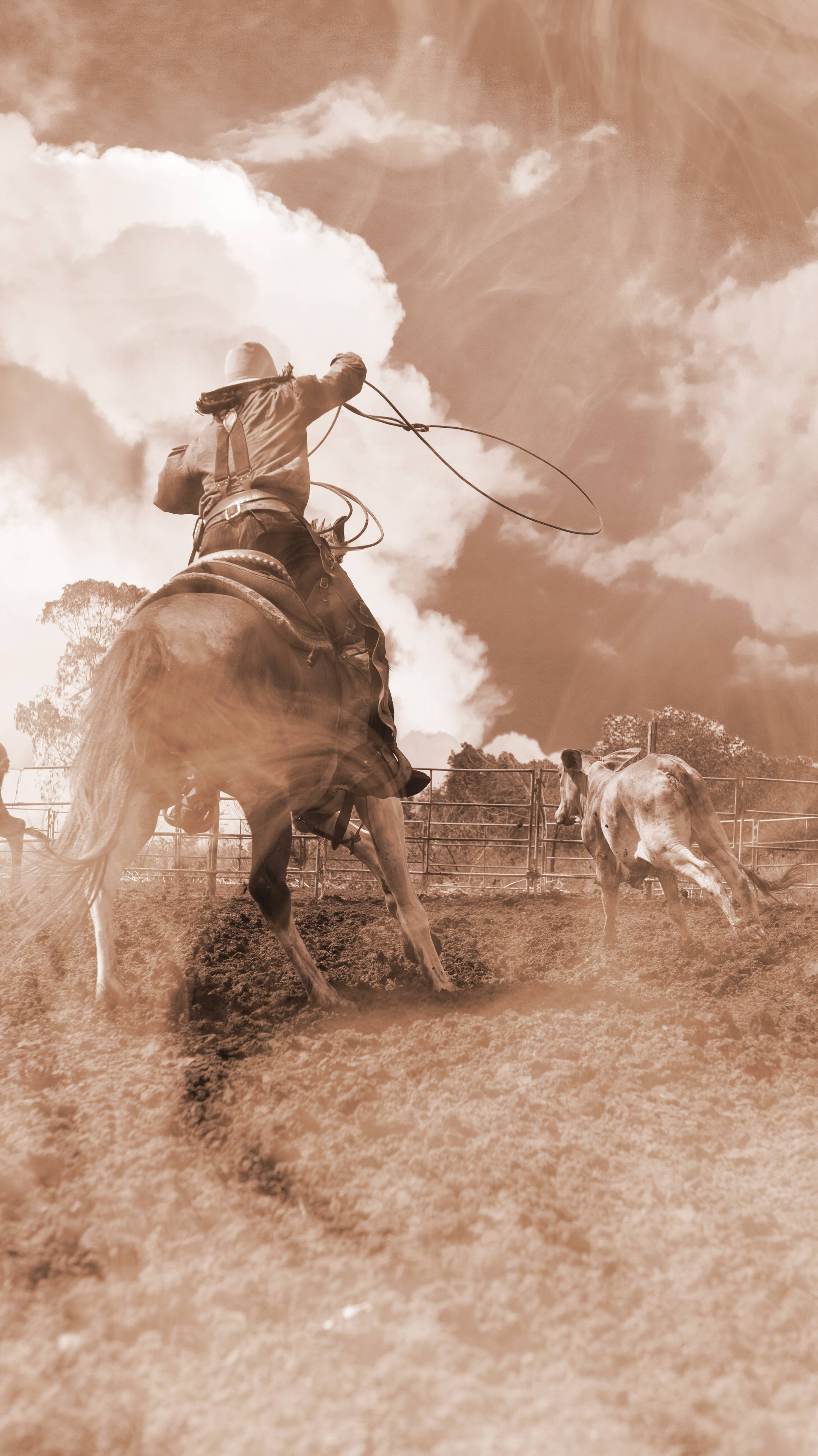 cowboy, bucking horse, lasso, 4K Phone Wallpaper