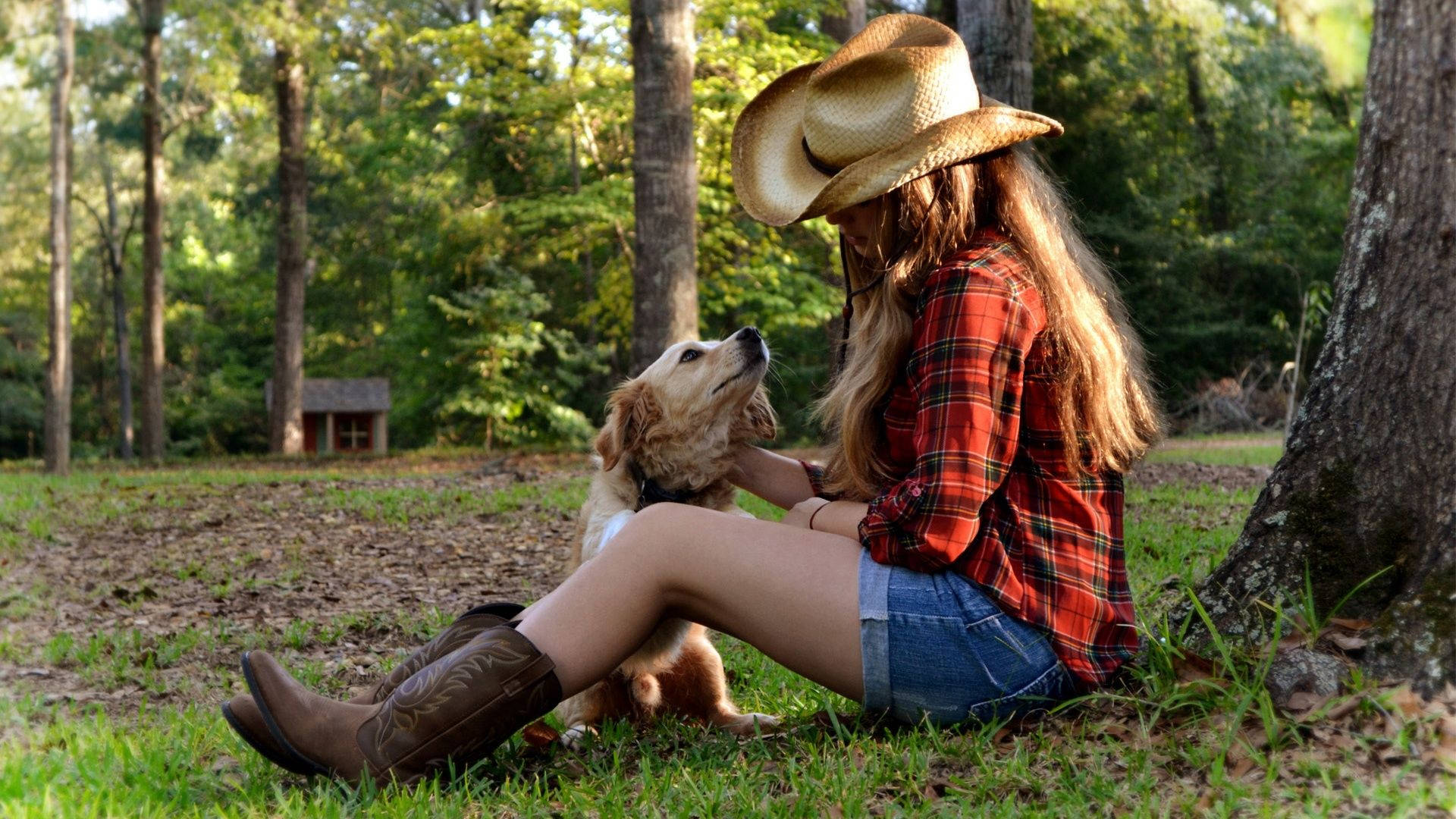 cowboy hat, plaid shirt, golden retriever, Full HD Desktop Wallpaper