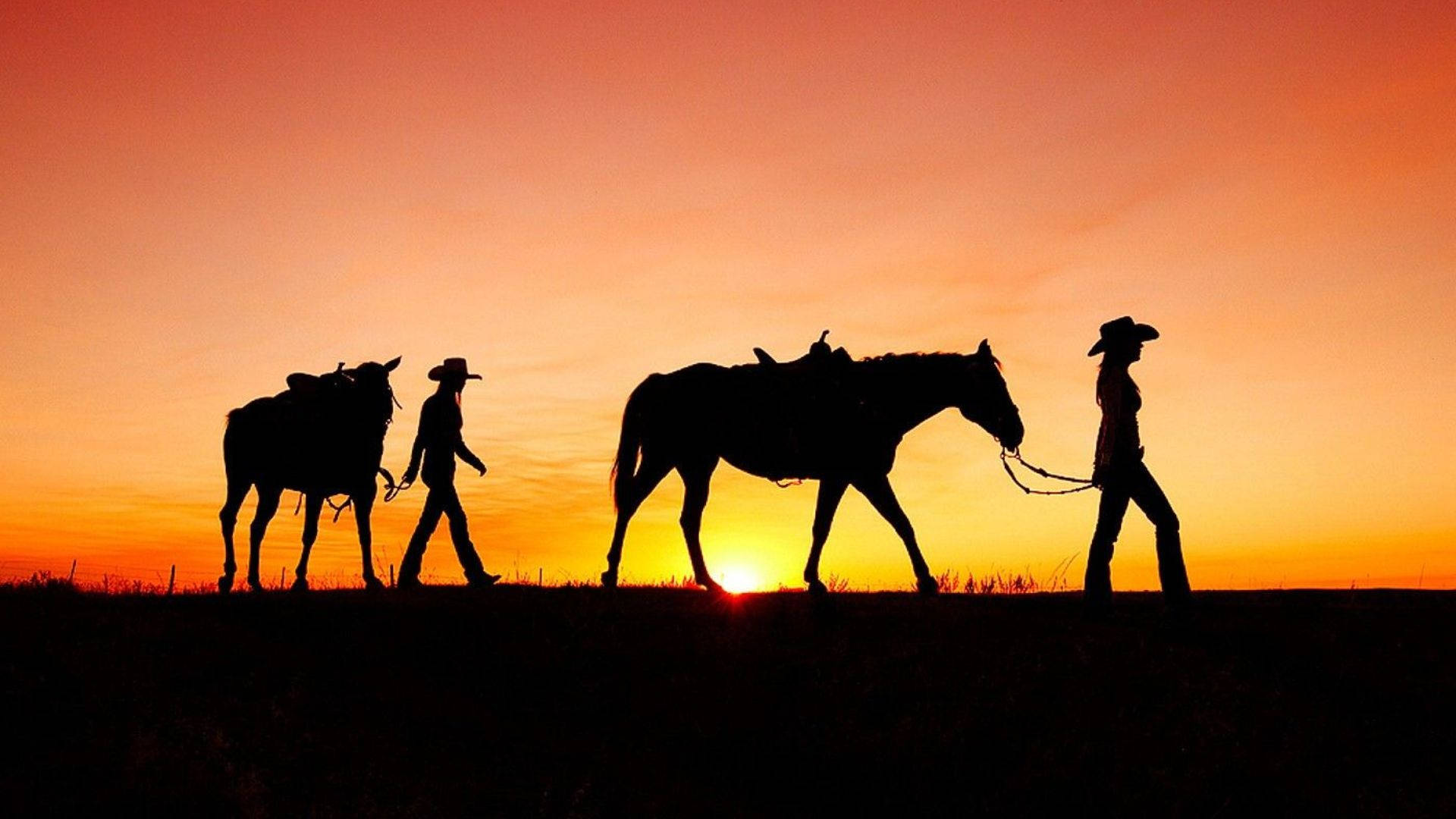cowgirl, horses, field, Full HD Desktop Wallpaper