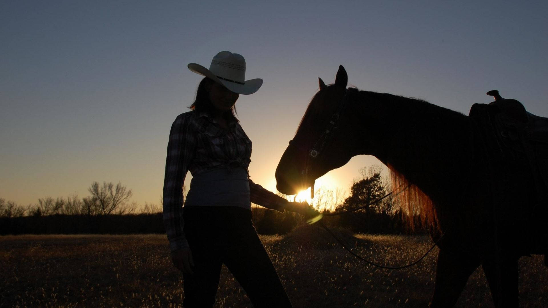 cowgirl, horse silhouette, sunset, Full HD Desktop Wallpaper