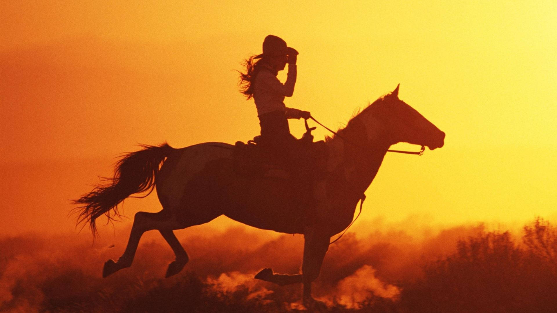 cowgirl, horse, fiery orange sunset sky, Full HD Desktop Wallpaper