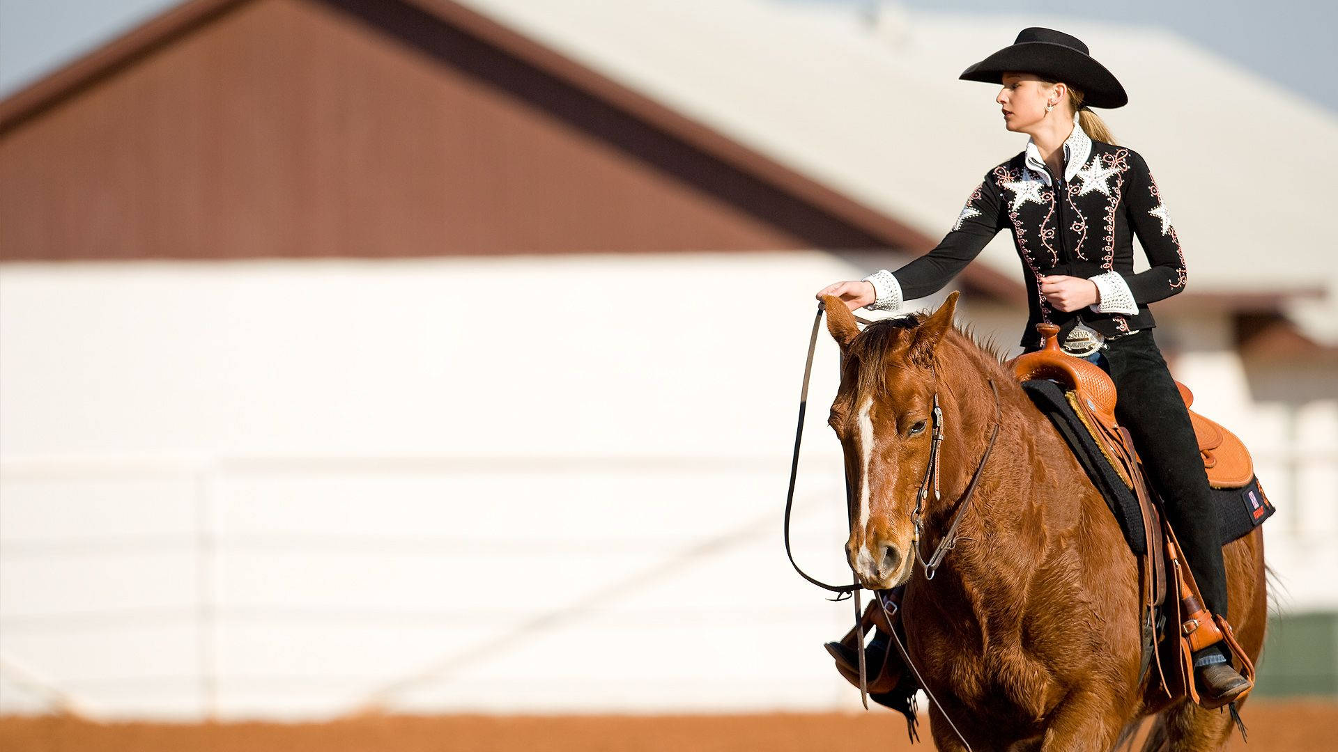 cowgirl, chestnut horse, sunlit arena, Full HD Desktop Wallpaper