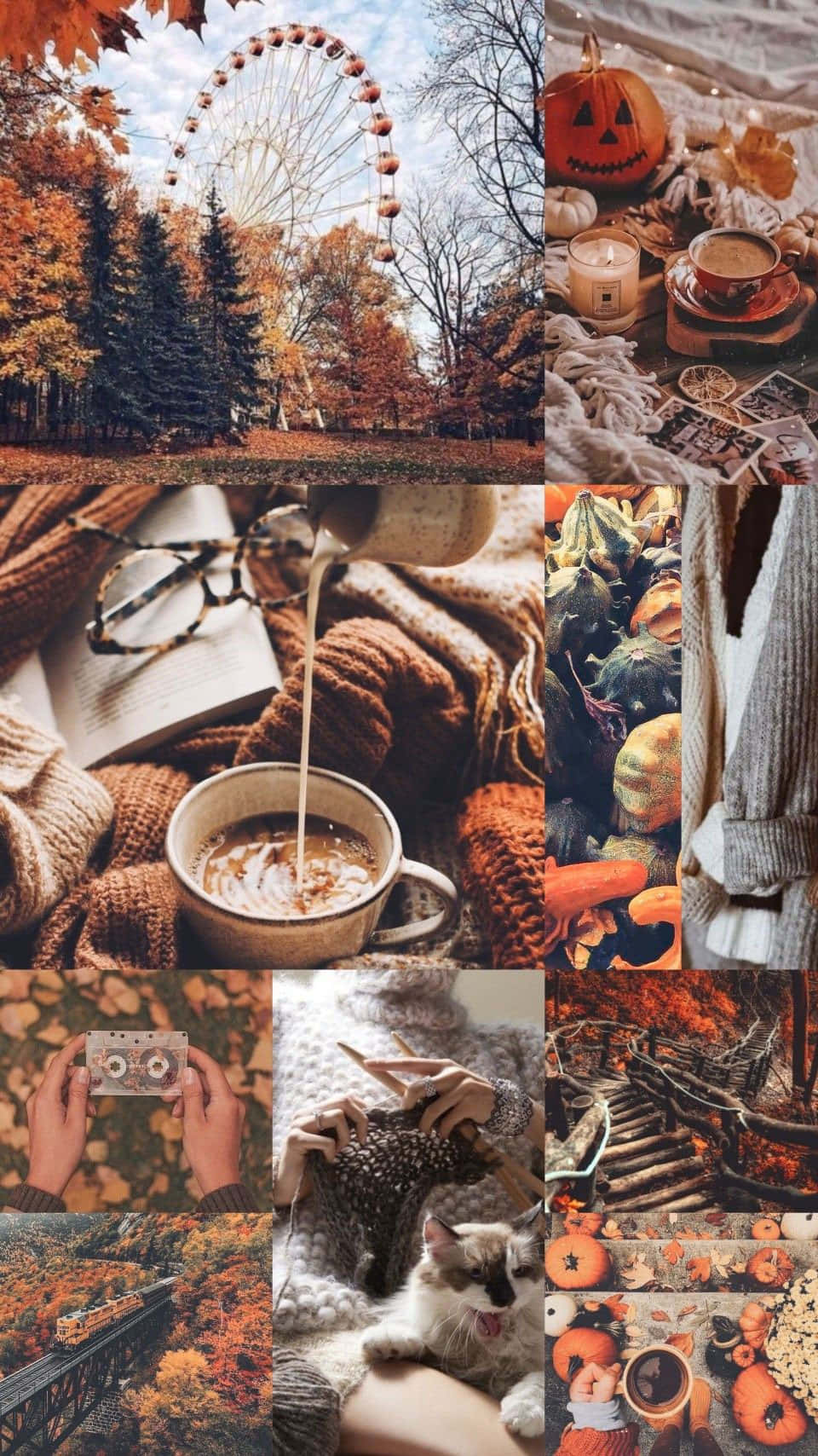 autumn coziness, pumpkins, warm drinks, HD Phone Wallpaper