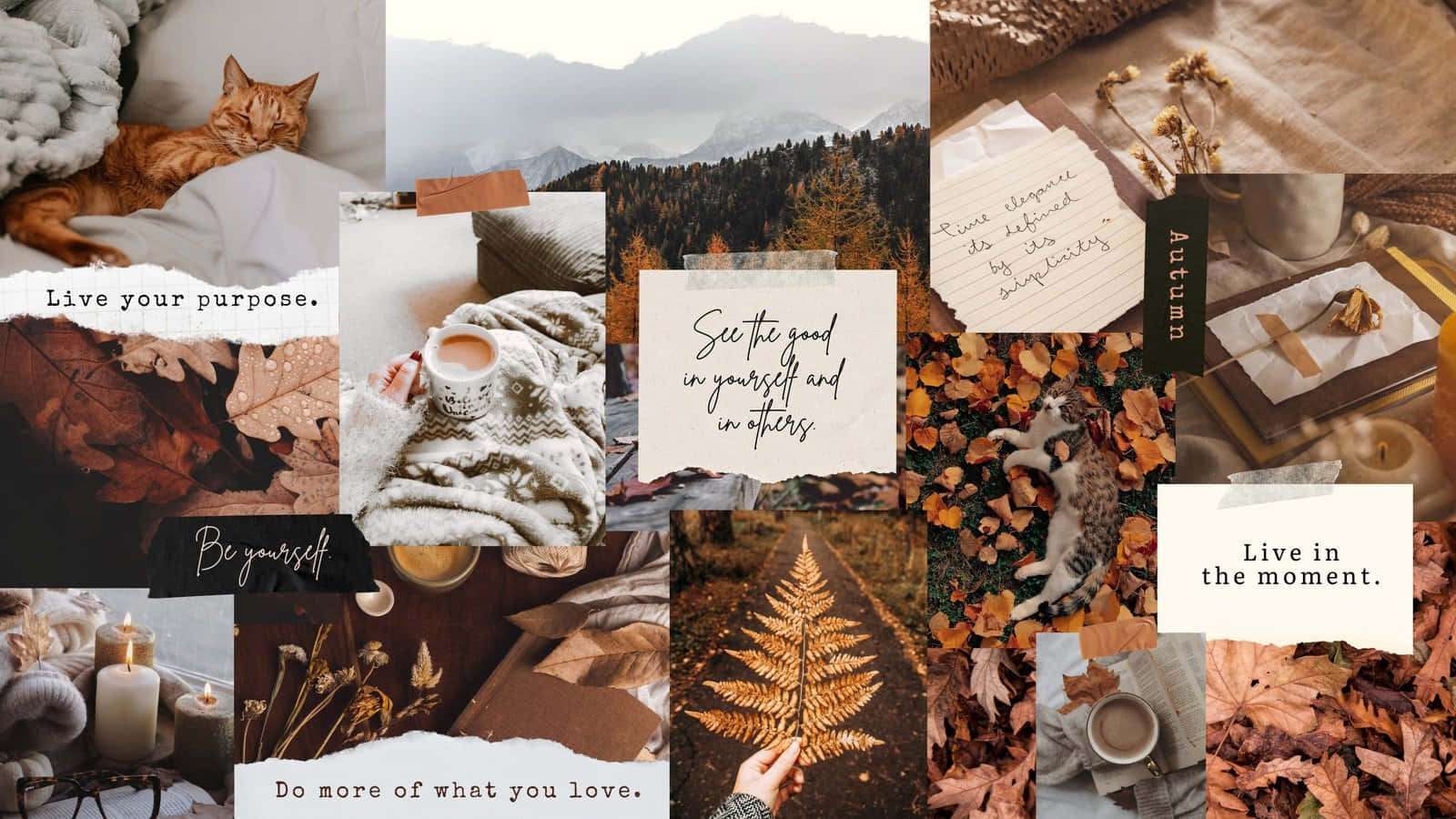 cozy aesthetic, autumn-themed collage, cats, HD Desktop Wallpaper