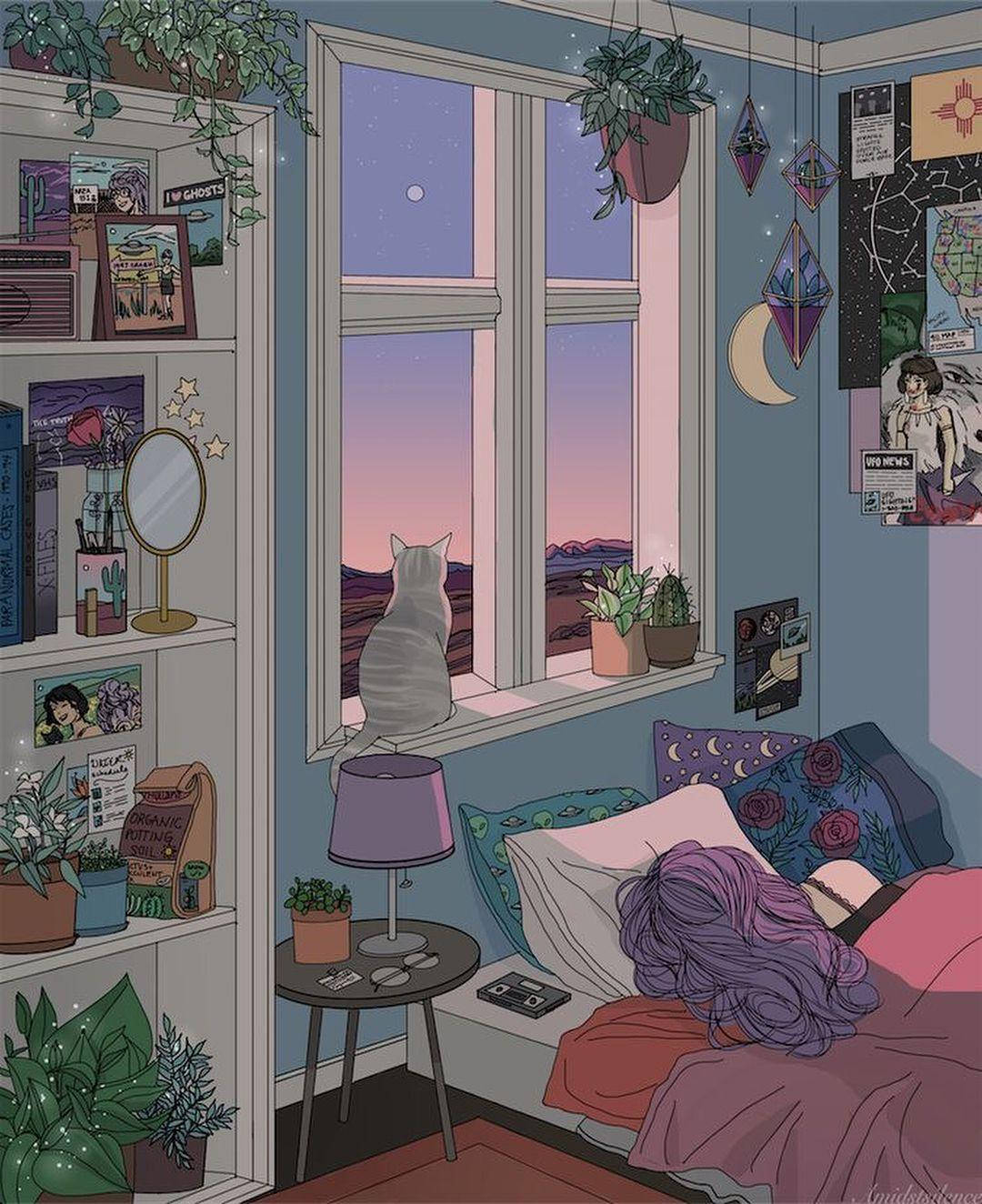 cat, window, starry twilight sky, HD Phone Wallpaper