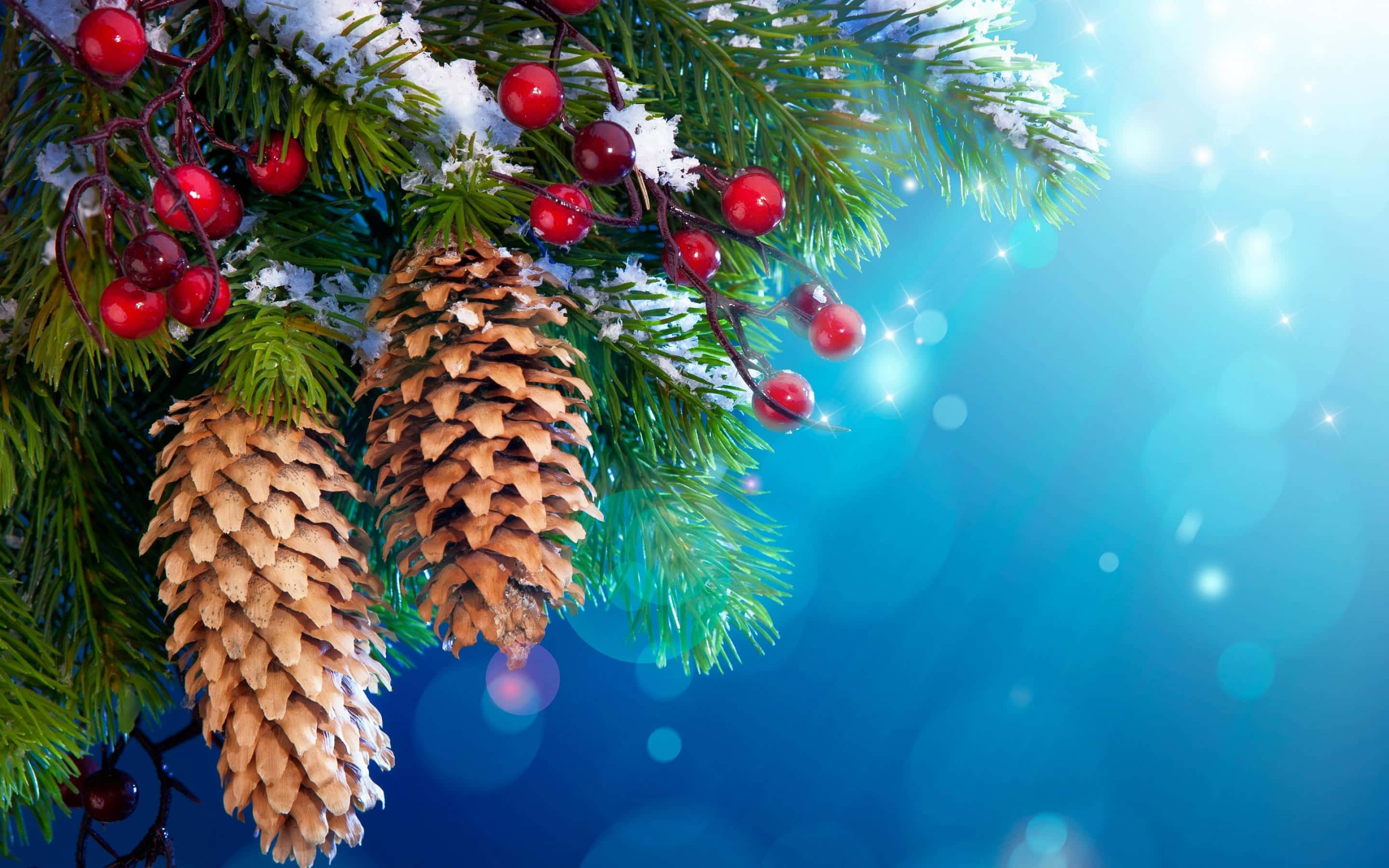 Cozy Christmas, pine branches, red berries, 2K Desktop Wallpaper