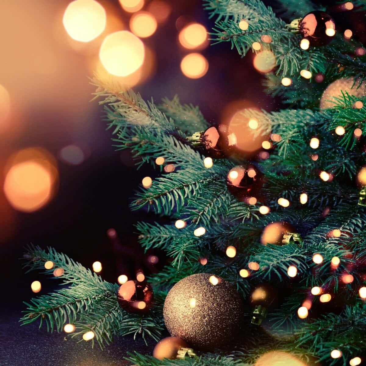 Cozy Christmas, evergreen branch, glittering ornaments, SD Desktop Wallpaper