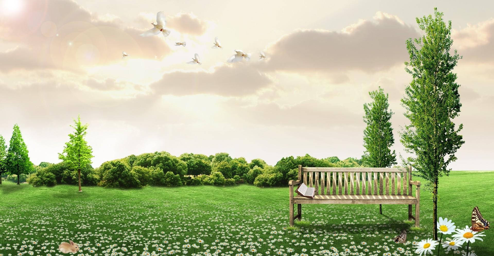wooden bench, sunlit meadow, daisies, HD Desktop Wallpaper