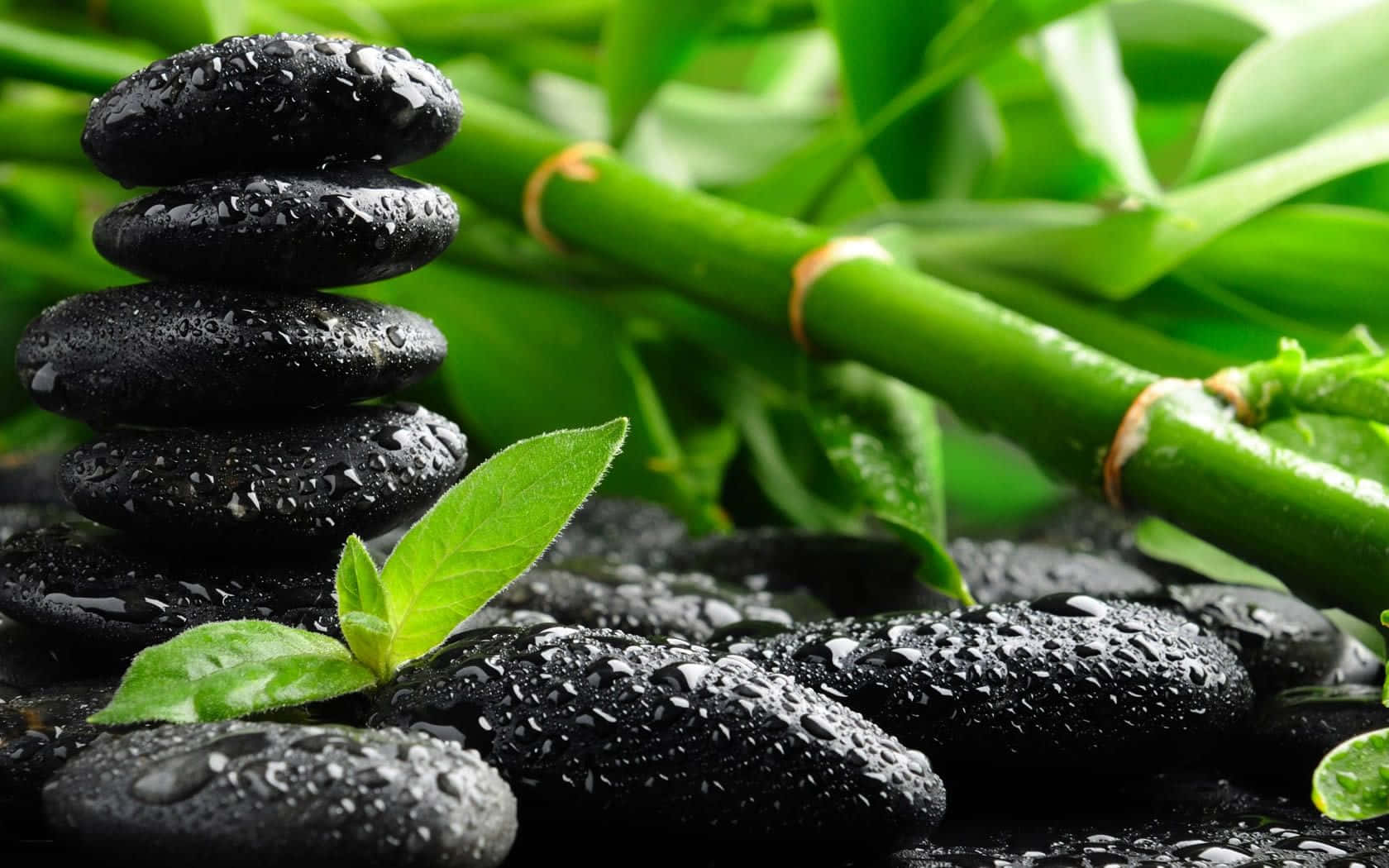 therapeutic desktop, 1680 x 1050, wet black stones, HD Desktop Wallpaper