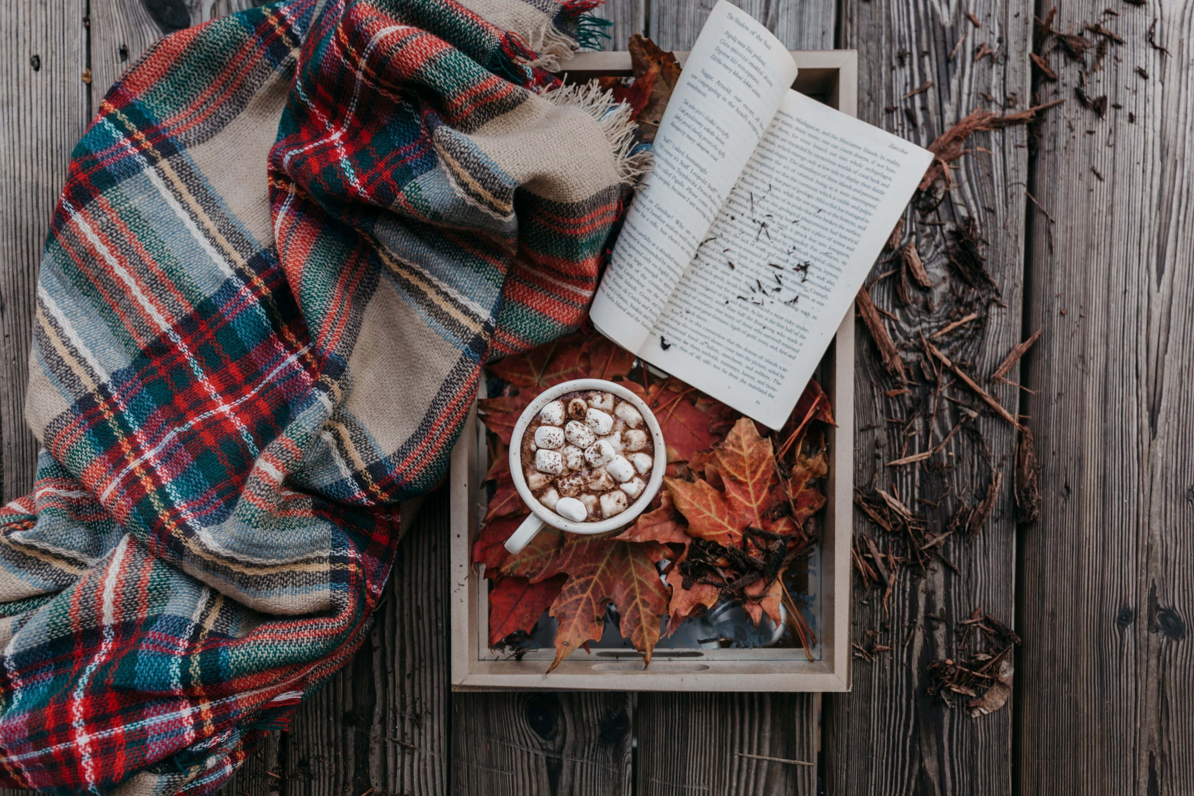 plaid blanket, open book, mug of hot cocoa, 4K Desktop Wallpaper