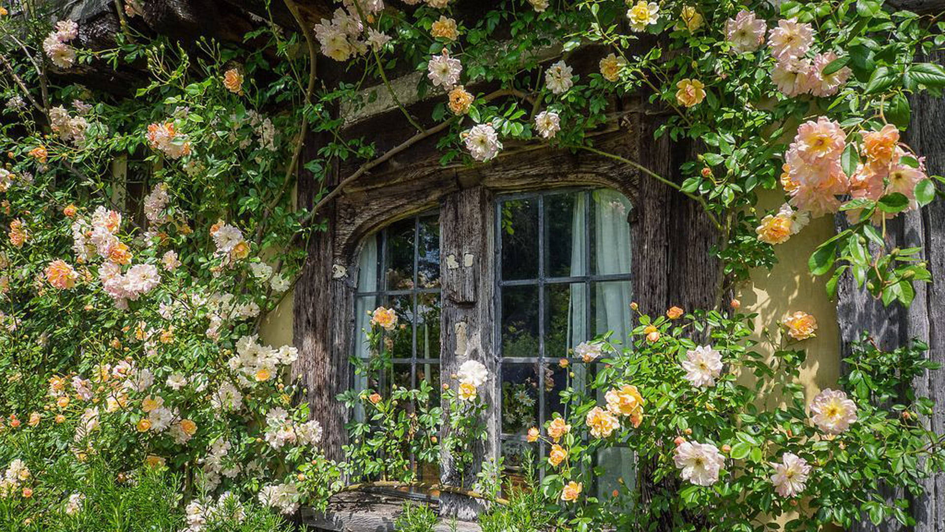 cottage window, cottagecore, rustic wooden window, Full HD Desktop Wallpaper