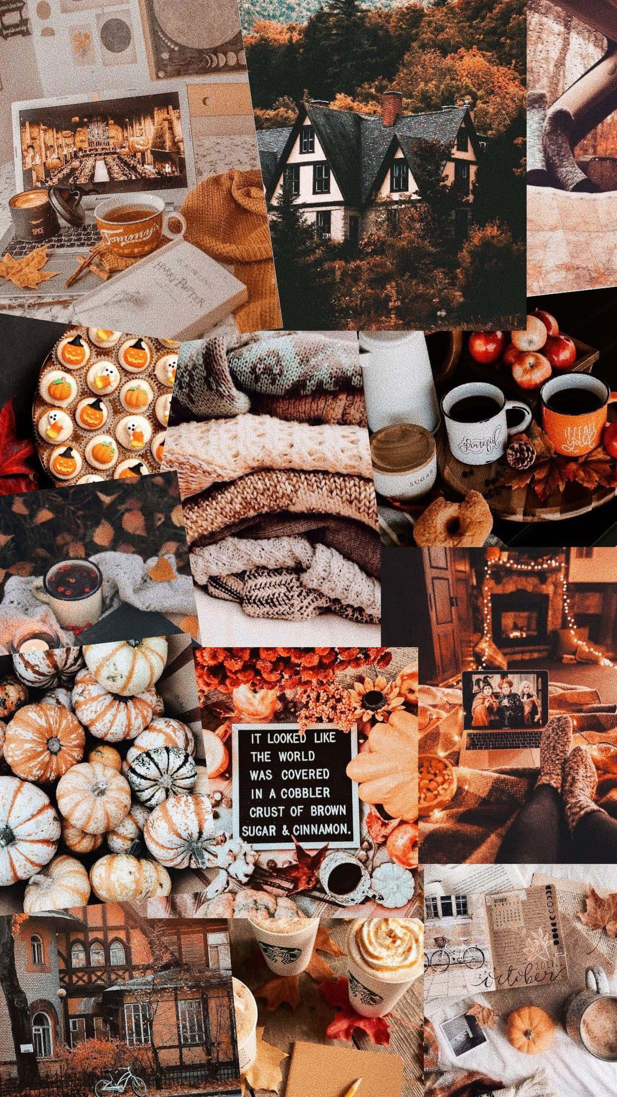 autumn comfort collage, pumpkins, cinnamon coffee, Full HD Phone Wallpaper