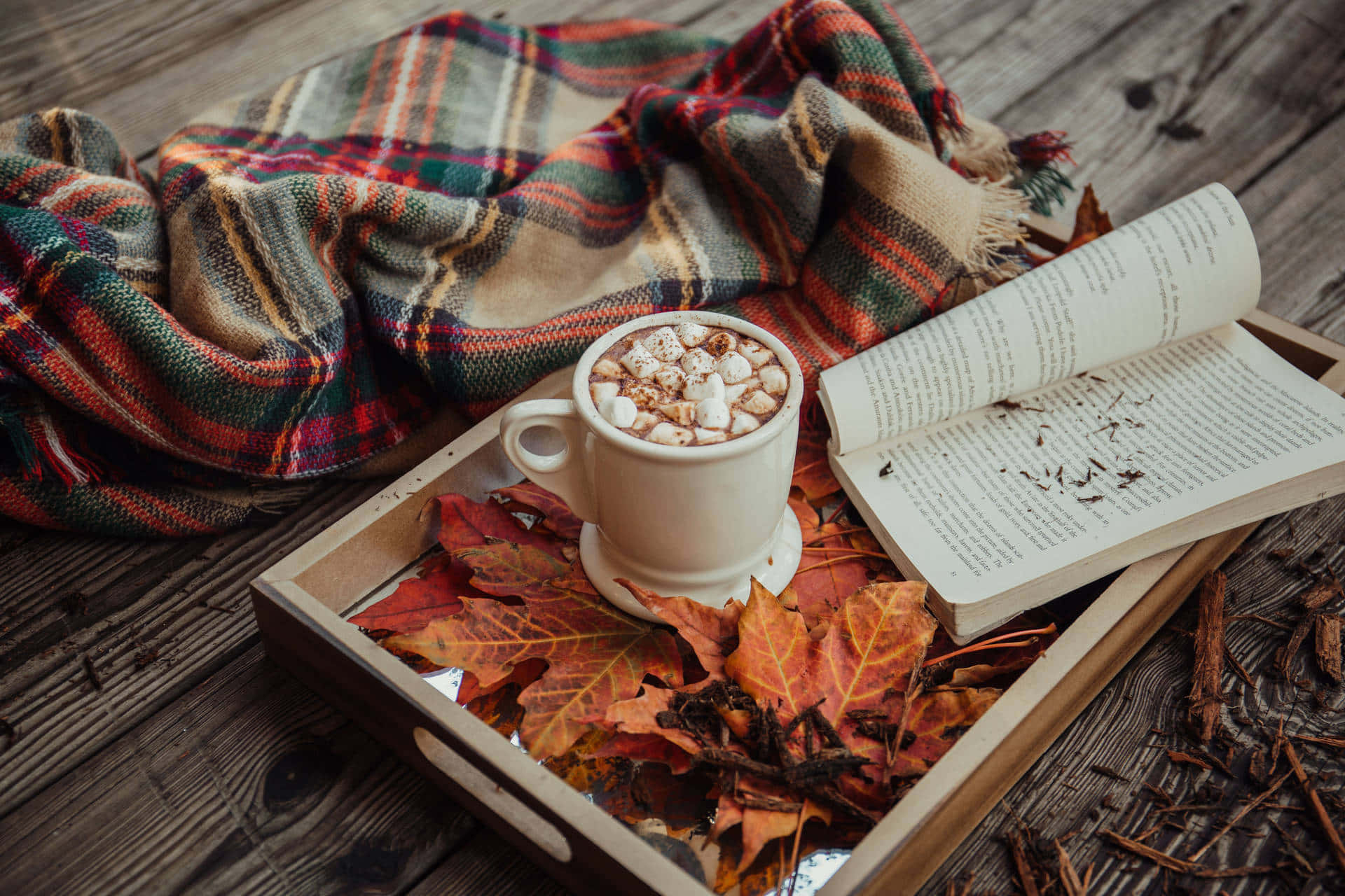 hot cocoa, book, wooden tray, Full HD Desktop Wallpaper