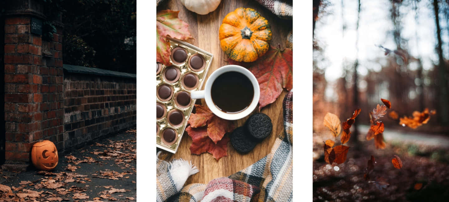 Autumn Vibes Triptych, pumpkin coffee cup, fallen leaves, HD Desktop Wallpaper