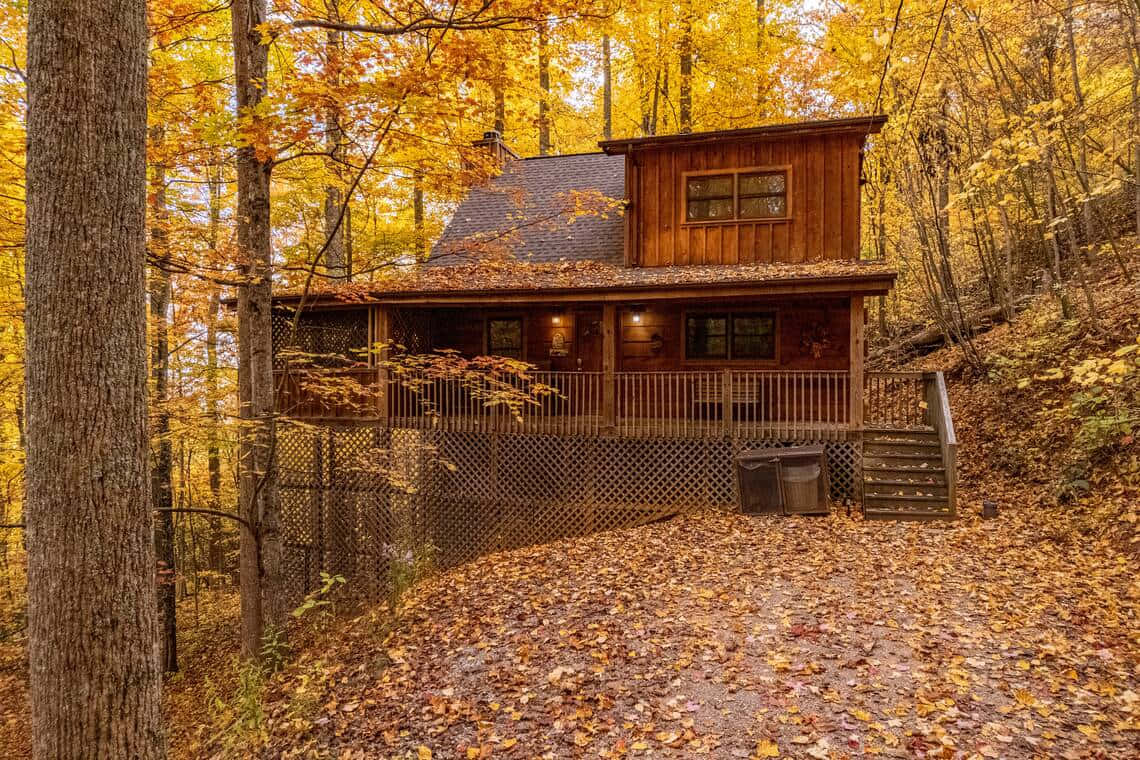 cozy wooden cabin, forest, golden autumn leaves, SD Desktop Wallpaper