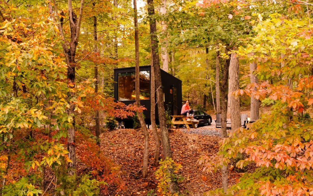 modern black cabin, vibrant autumn forest, picnic table, SD Desktop Wallpaper