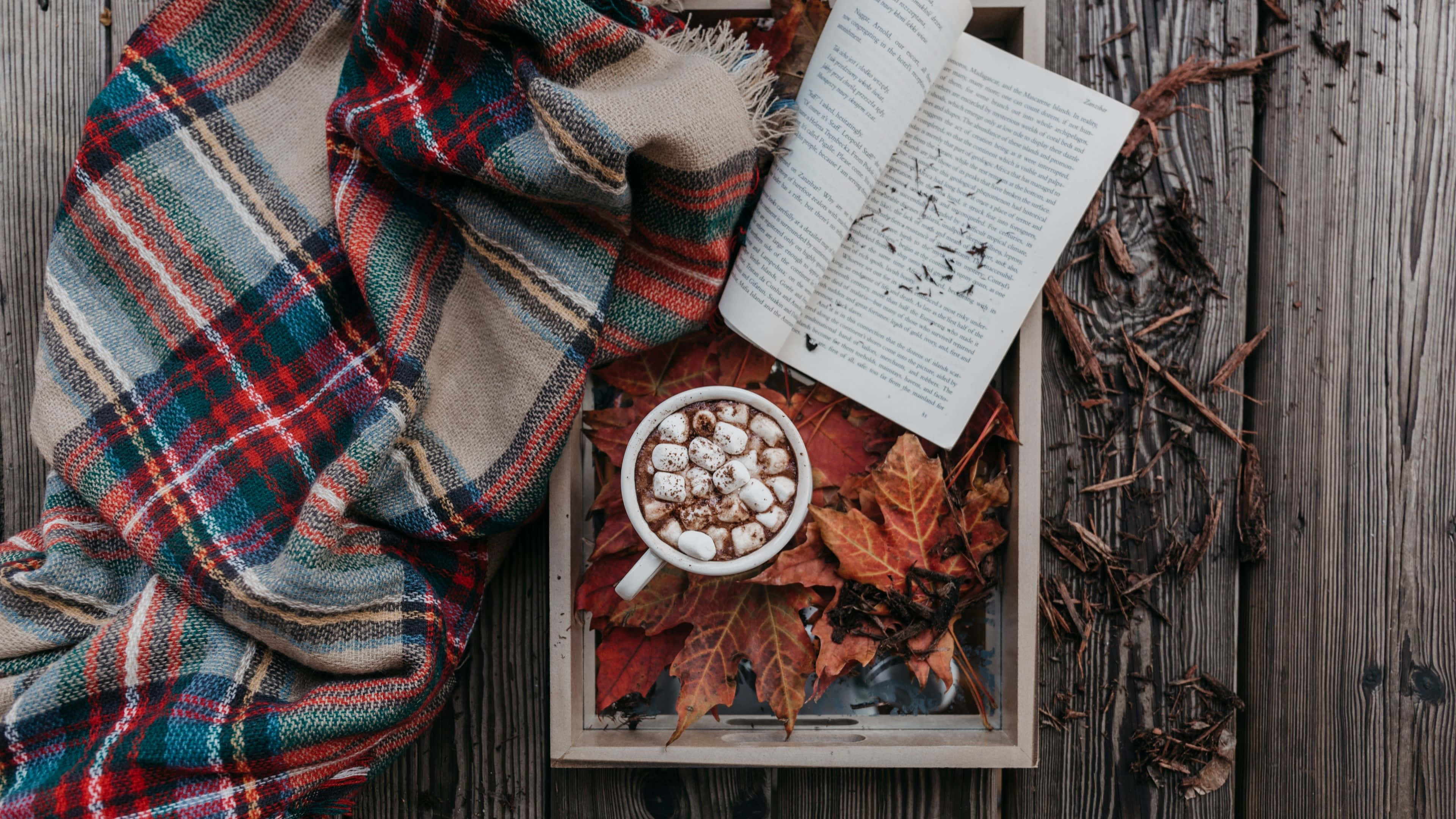 plaid blanket, open book, mug of hot cocoa, 4K Desktop Wallpaper